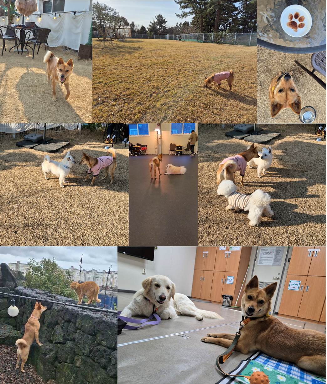 호두(구.오트) 1년 이야기