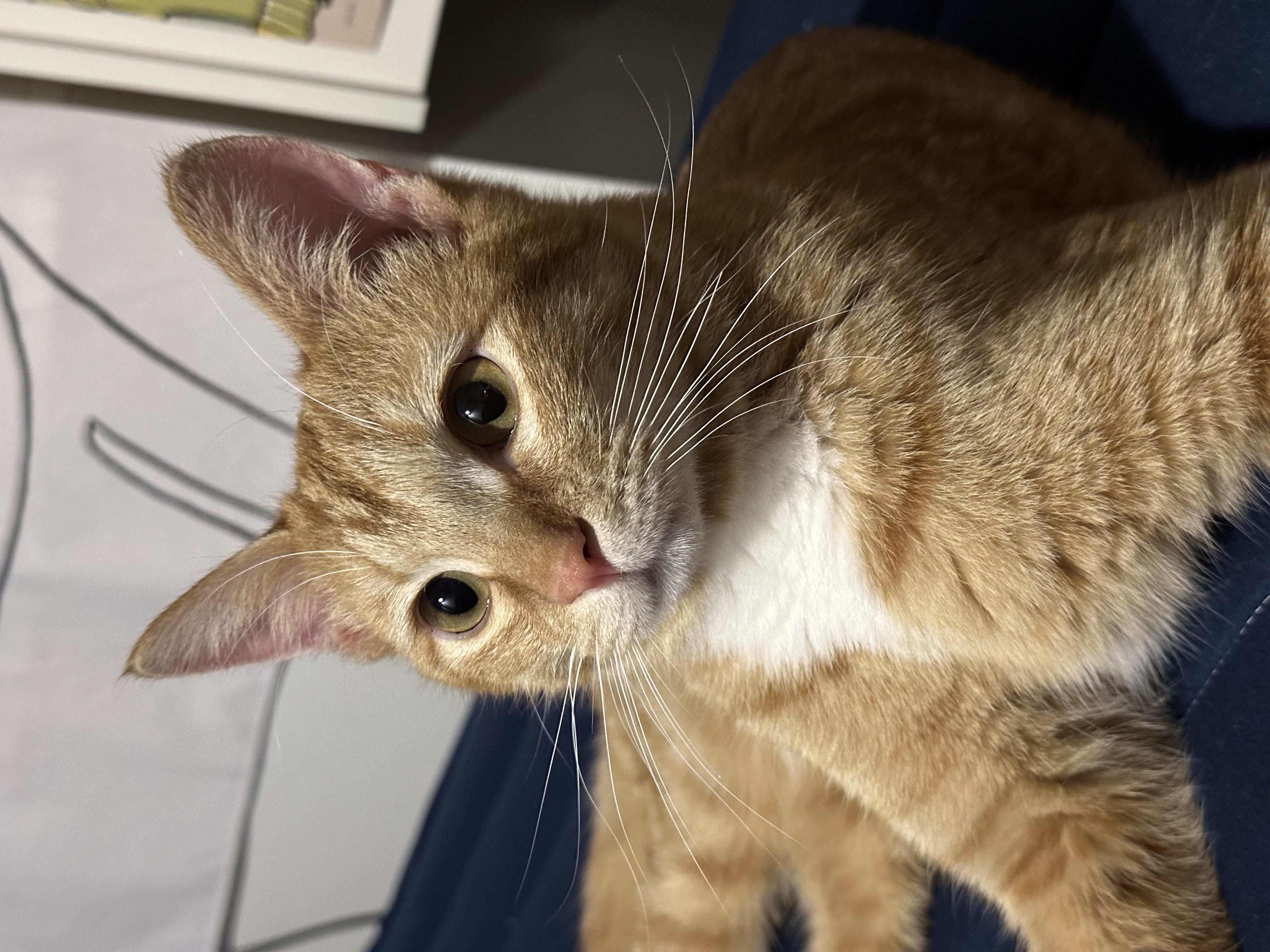 24.03.18. 단단이 일주일 육아 일기