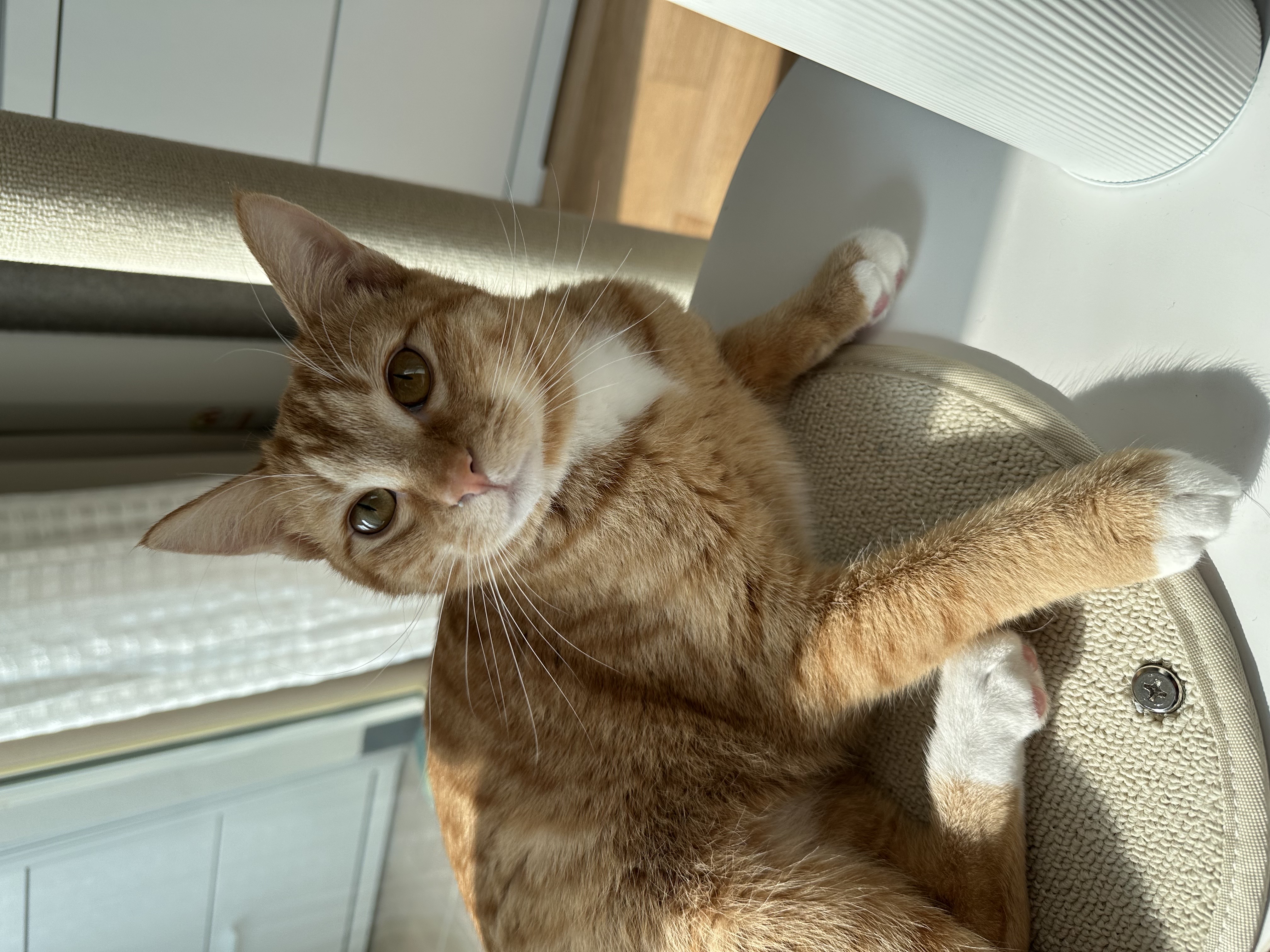 24.03.18. 단단이 일주일 육아 일기