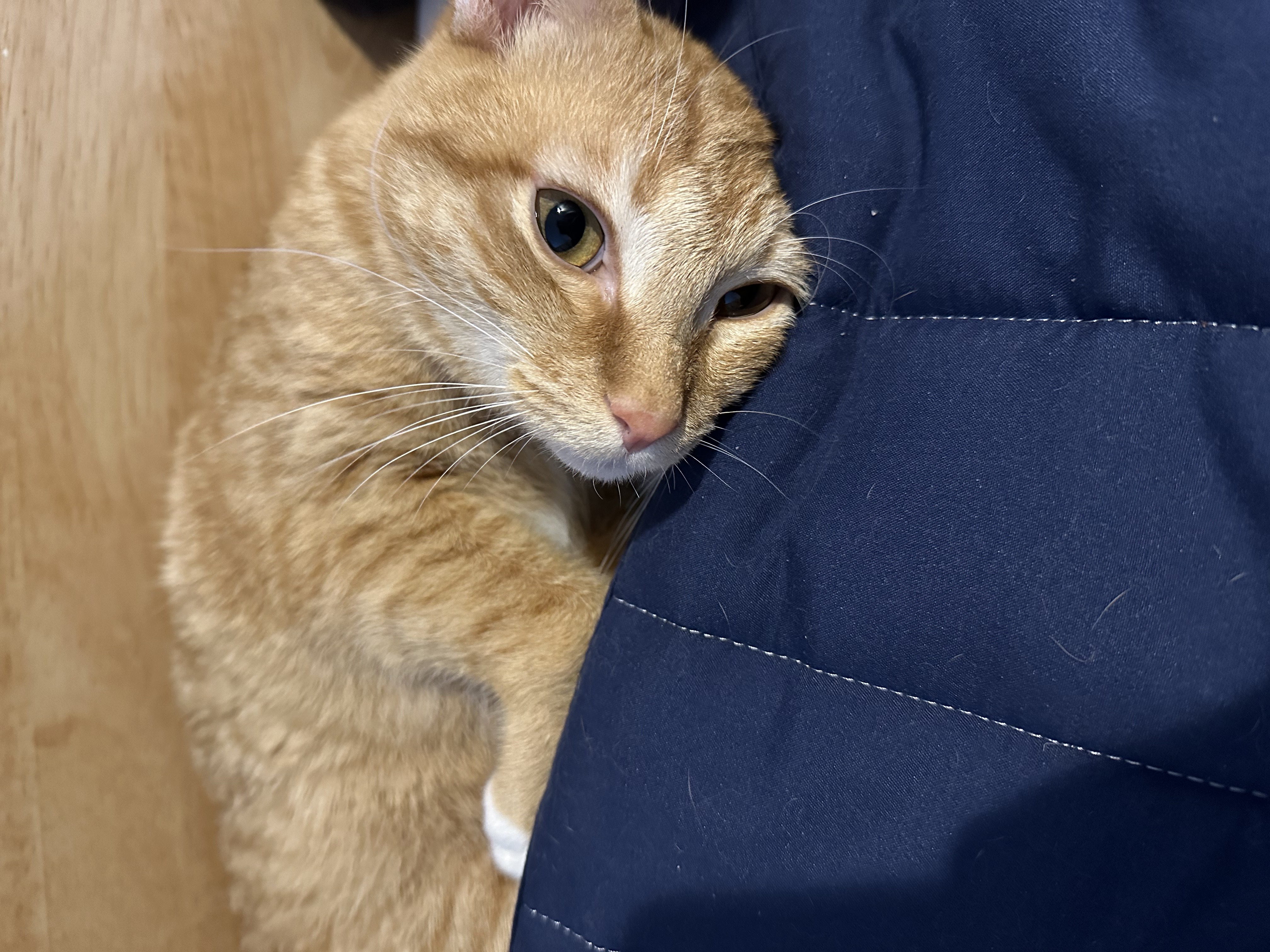 24.03.18. 단단이 일주일 육아 일기