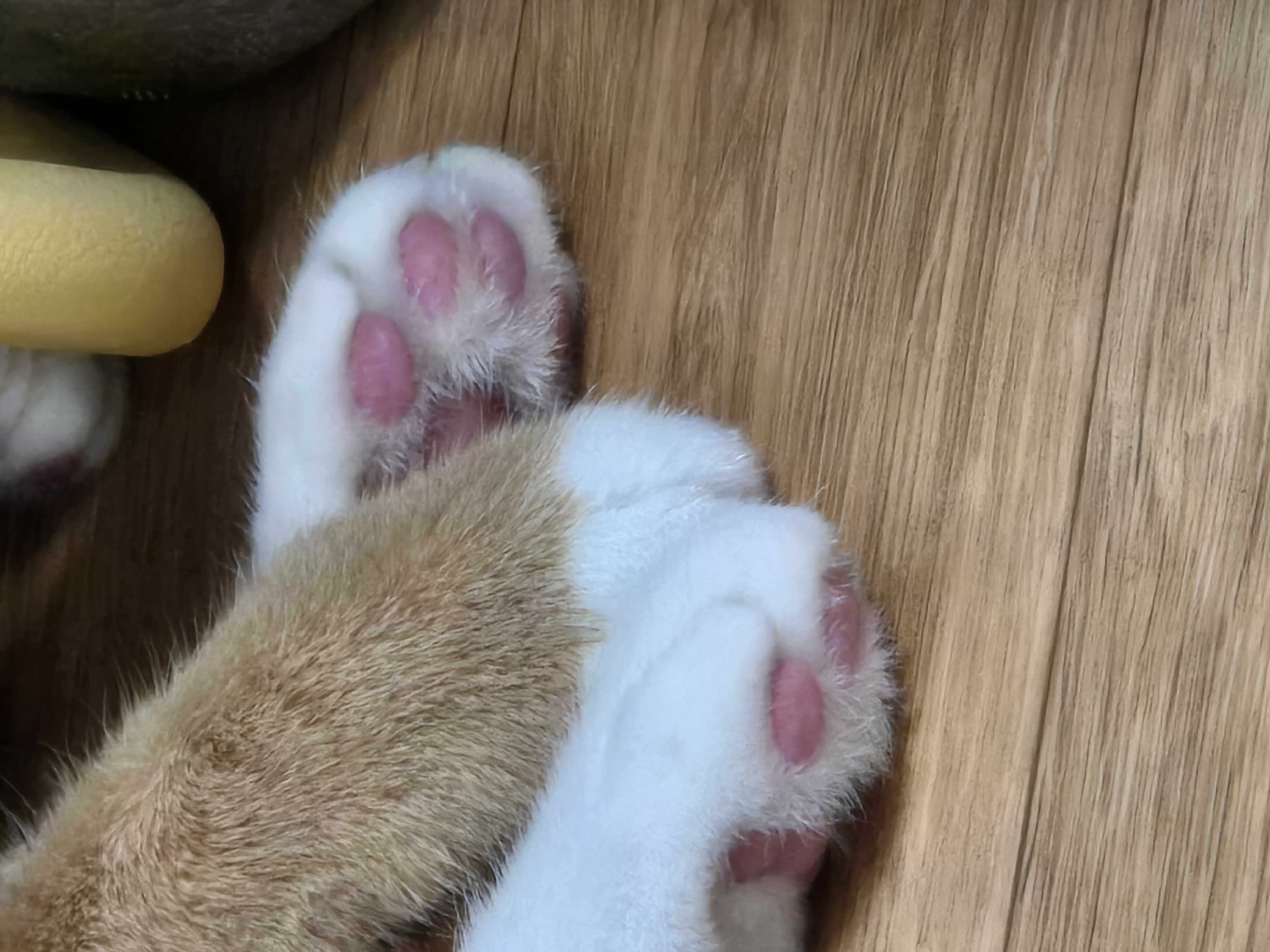 24.03.18. 단단이 일주일 육아 일기