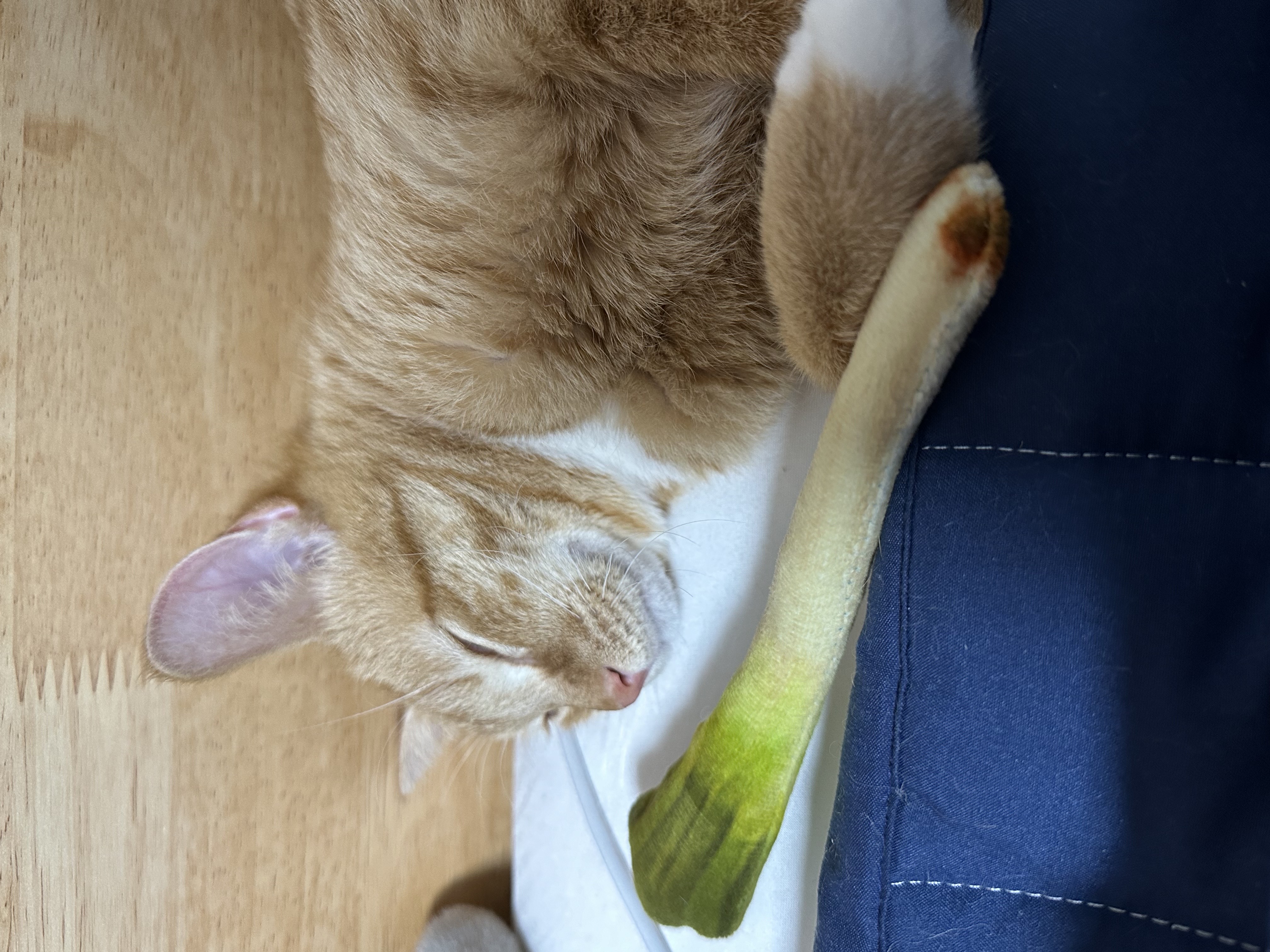 24.03.18. 단단이 일주일 육아 일기