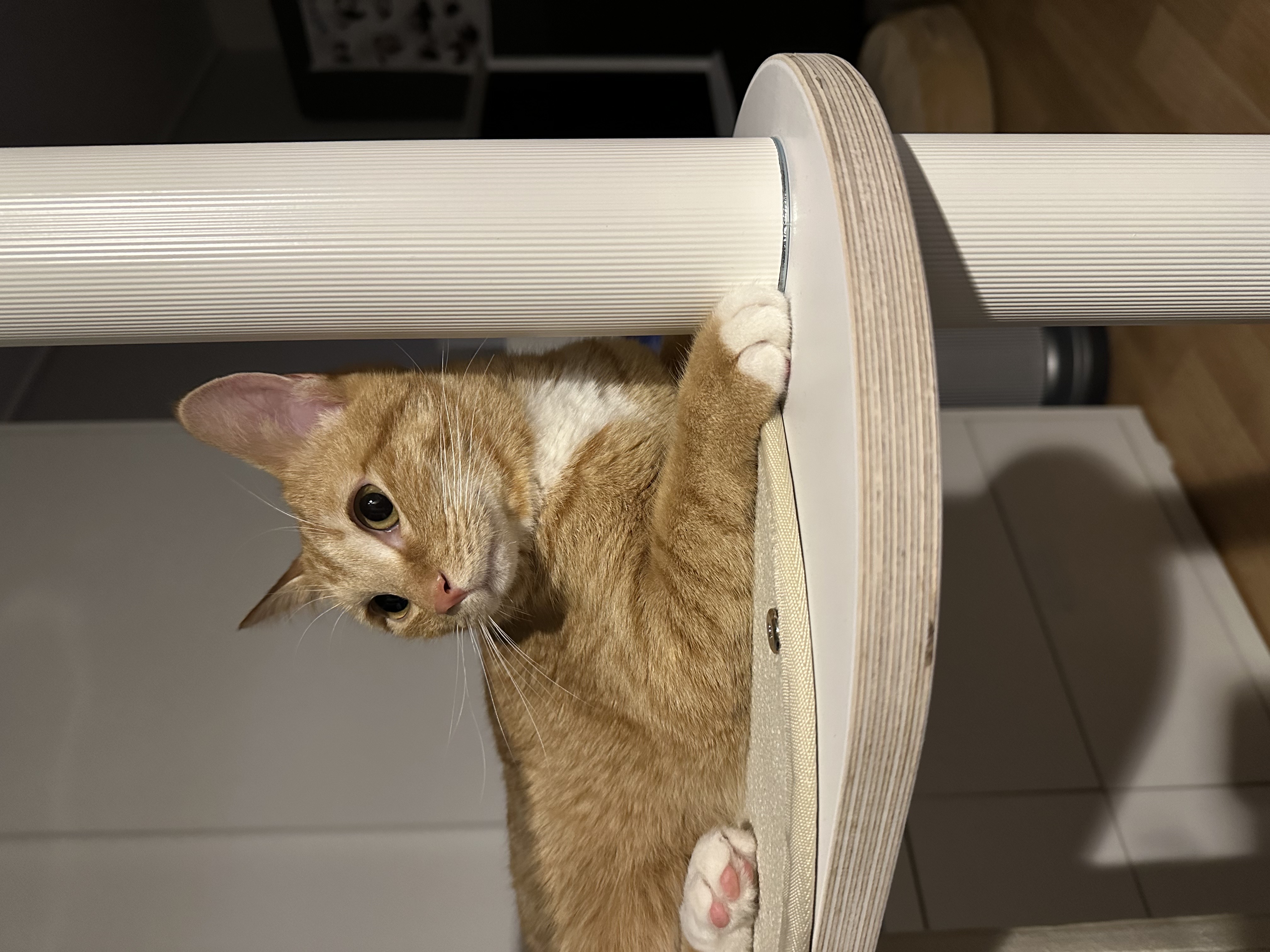 24.03.18. 단단이 일주일 육아 일기