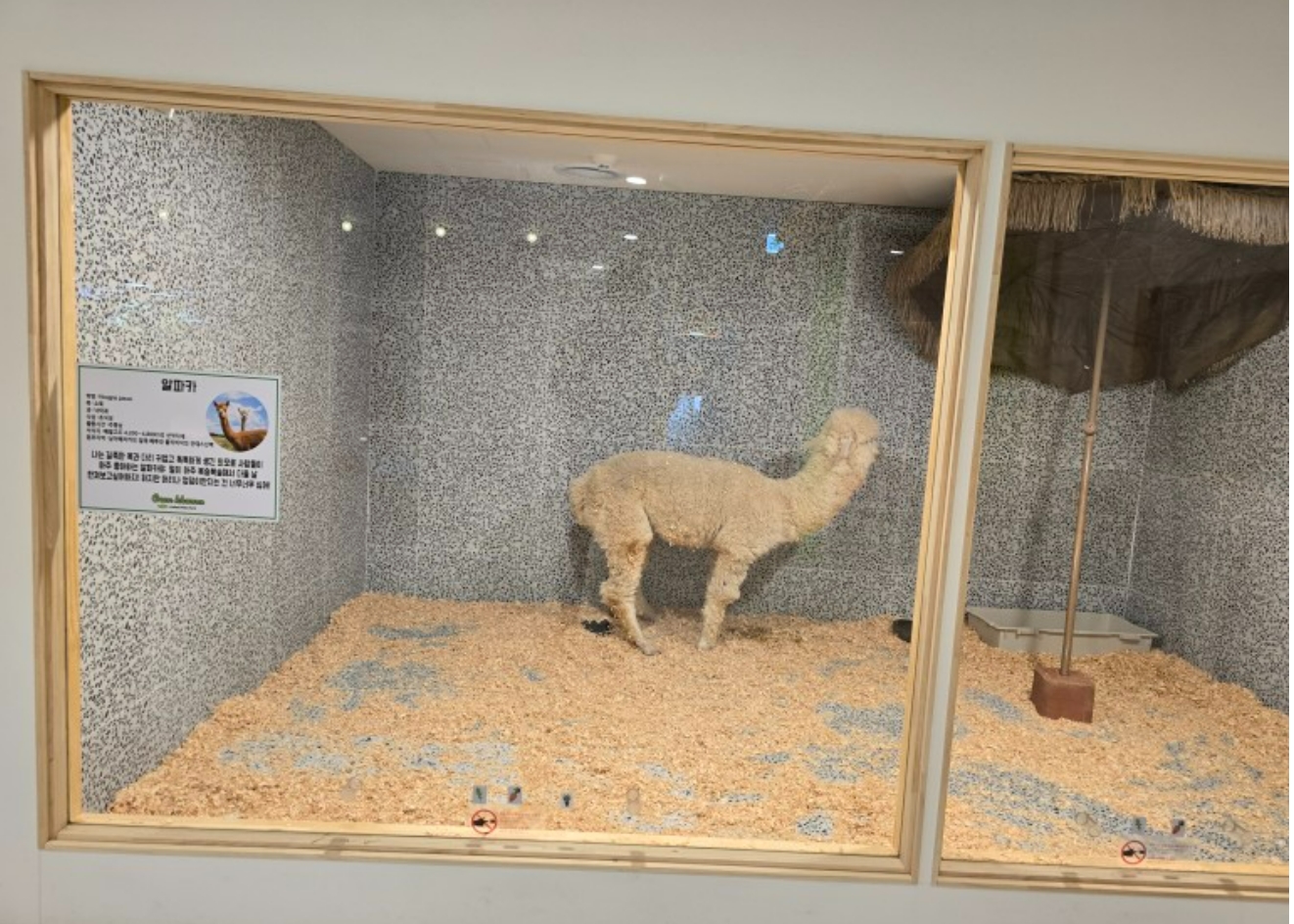 동물 카페의 비좁은 사육시설