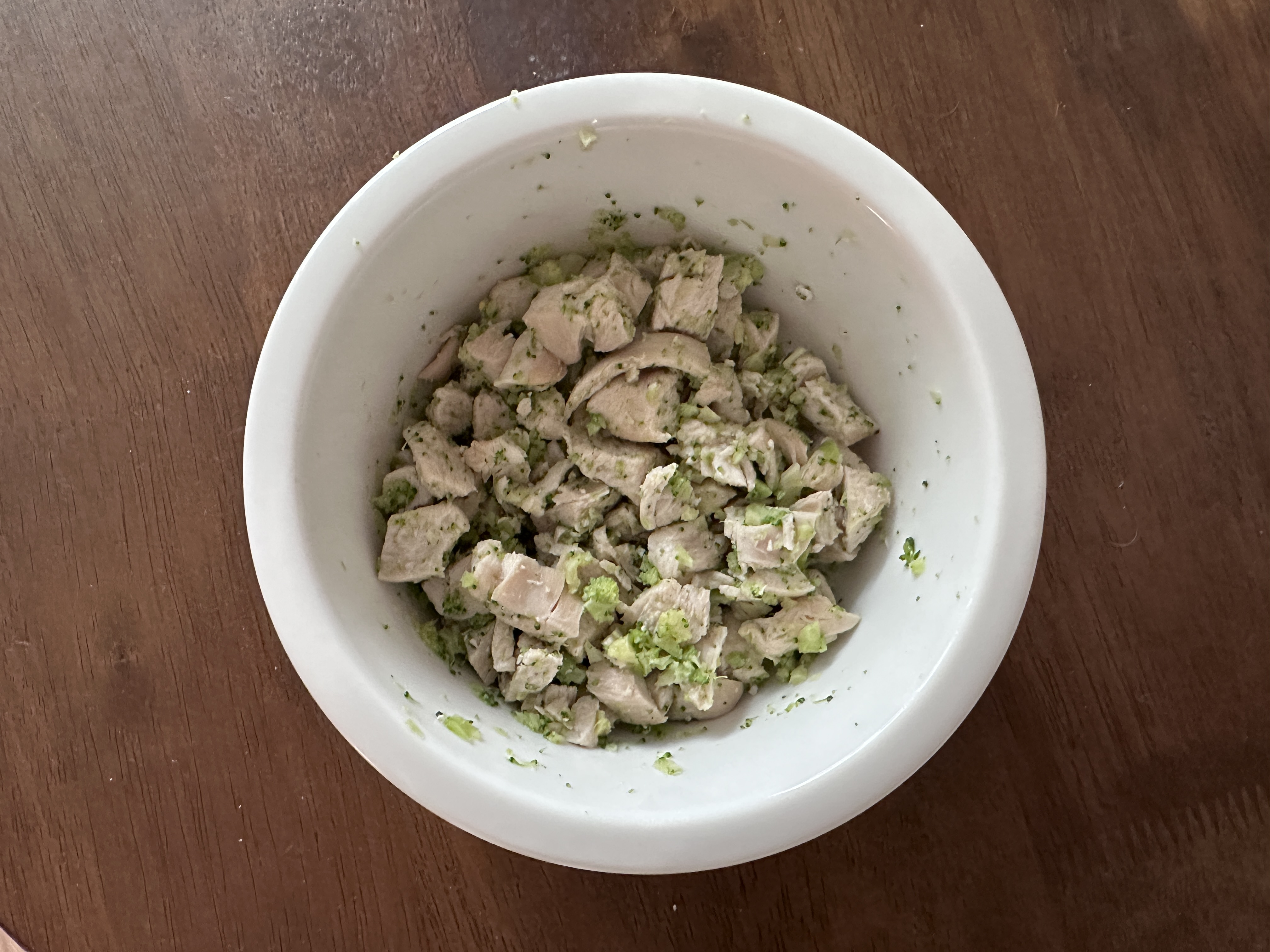 머찌 입양 일주일 후기