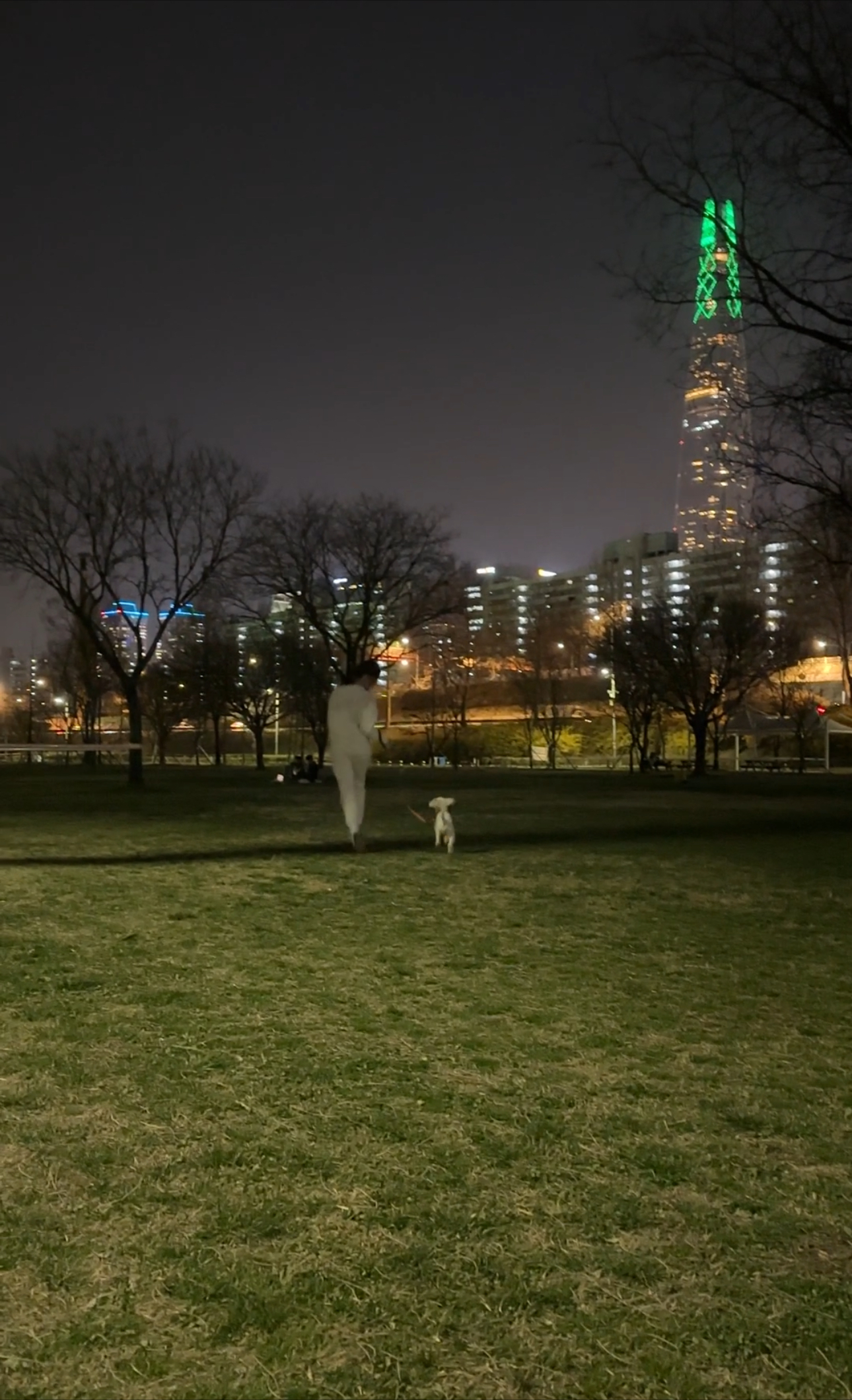 머찌 입양 일주일 후기