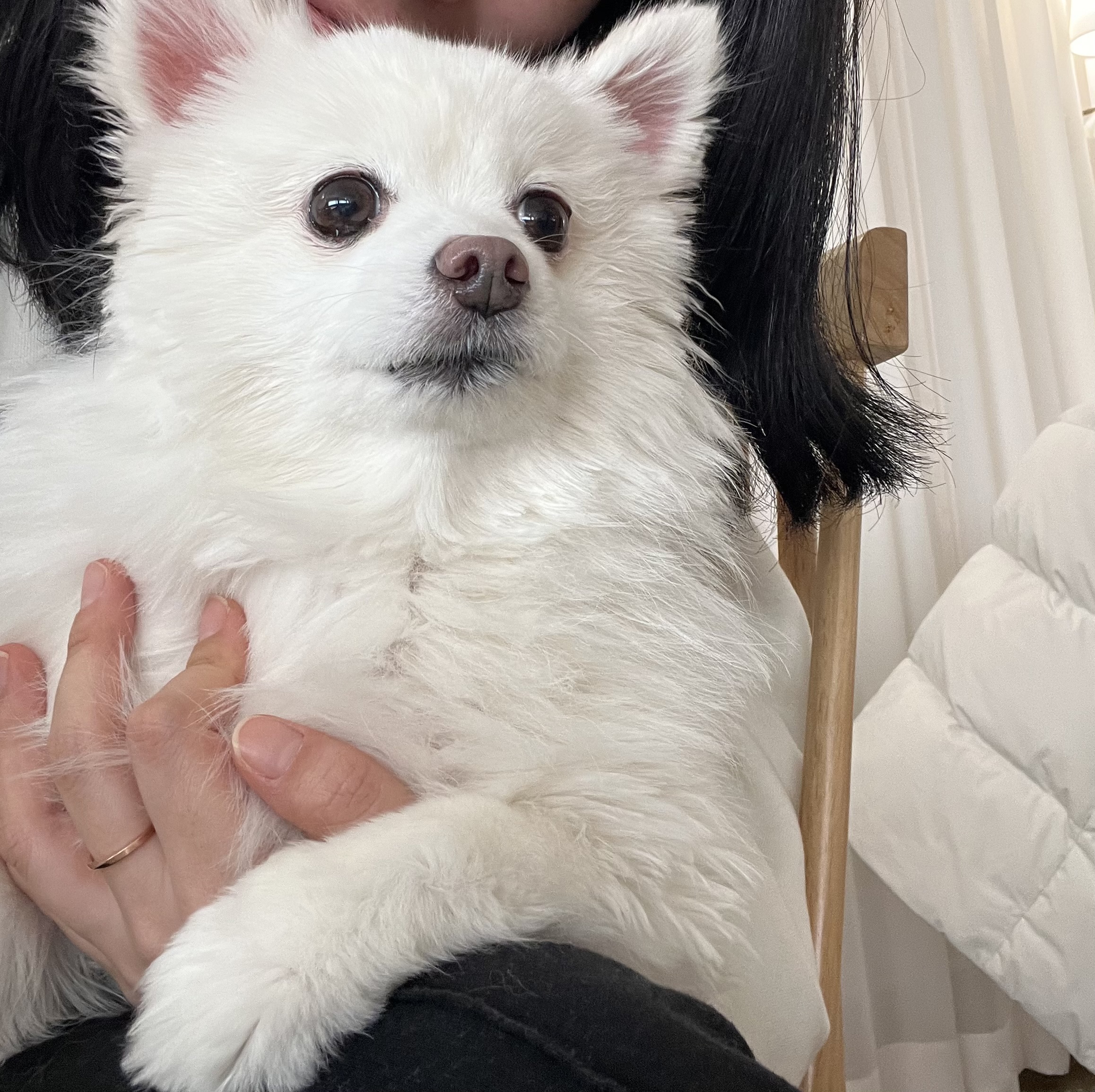 봄이 3주년 됐어요🌸 (구 곤지암 눈송이)