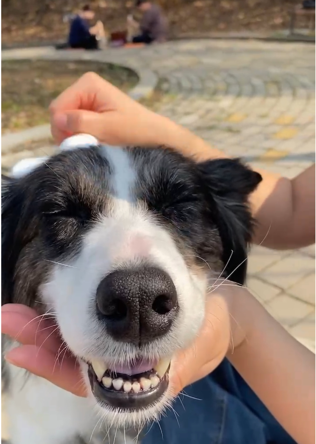 릴리안 입양 후 일주일 