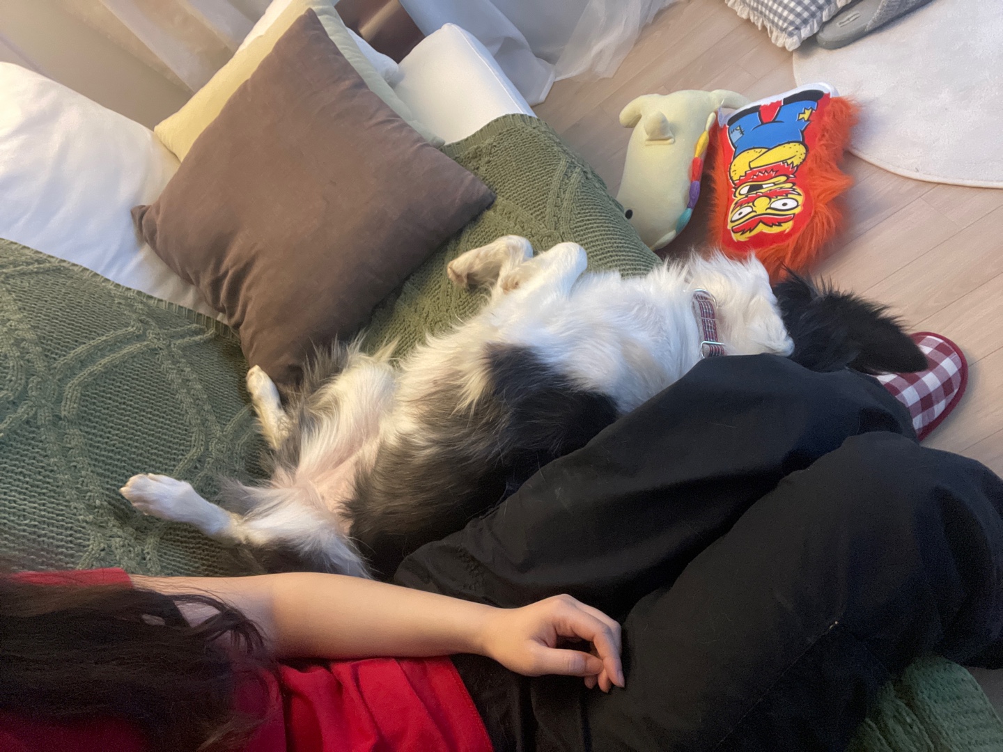 릴리안 입양 후 일주일 