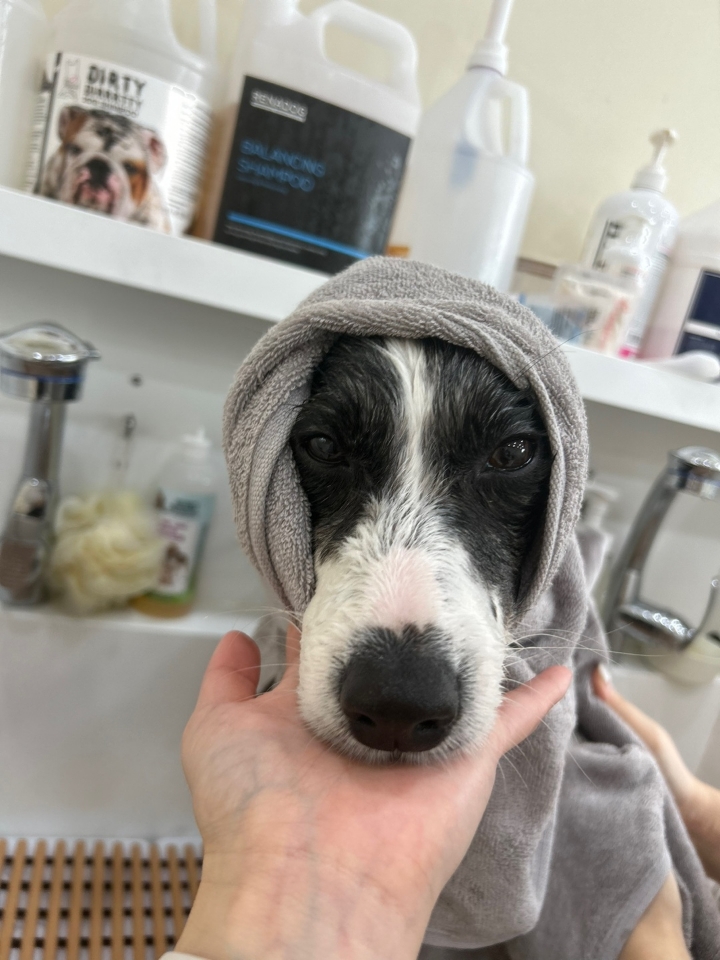 릴리안 입양 후 일주일 