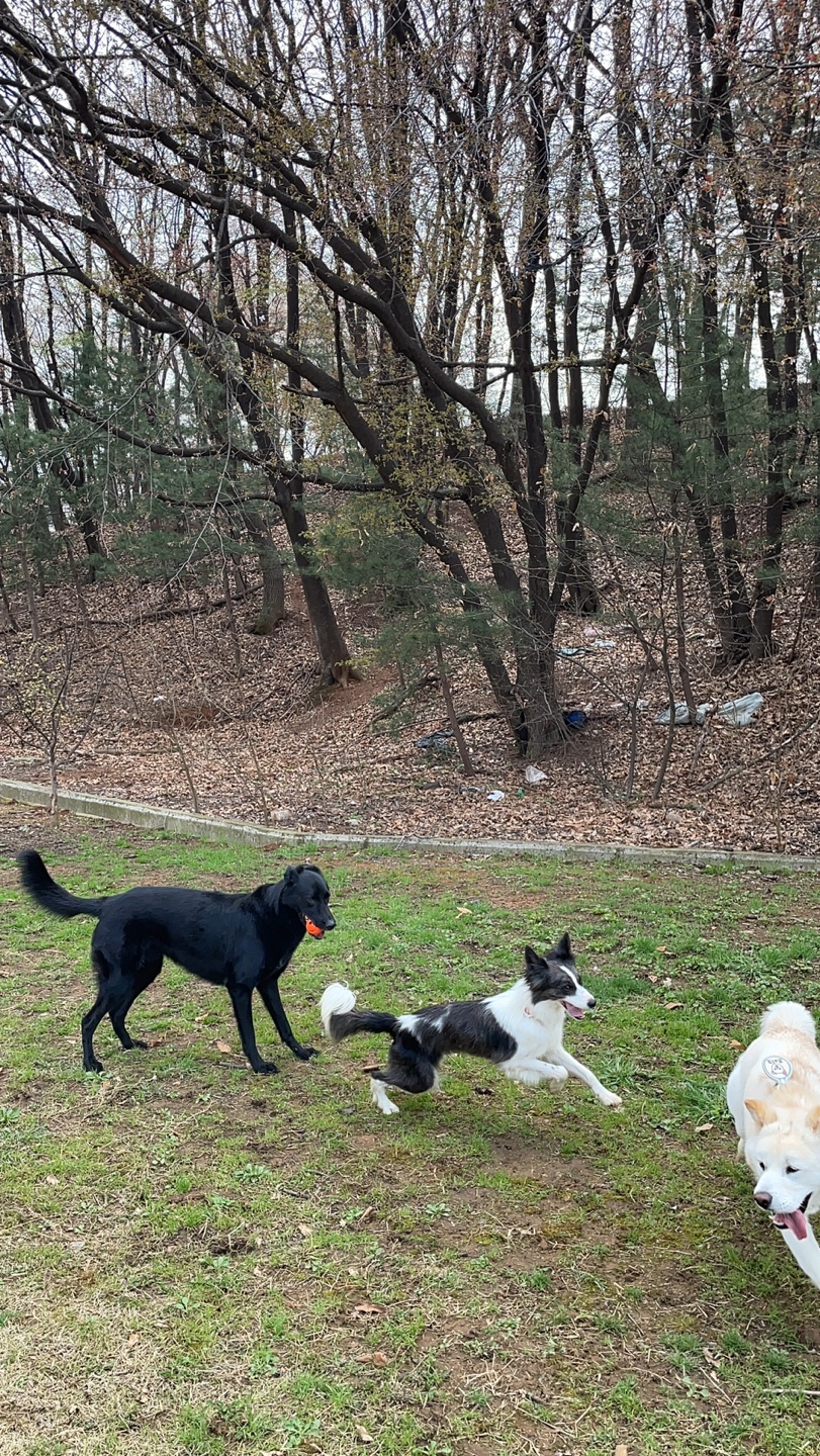 릴리안 입양 후 일주일 