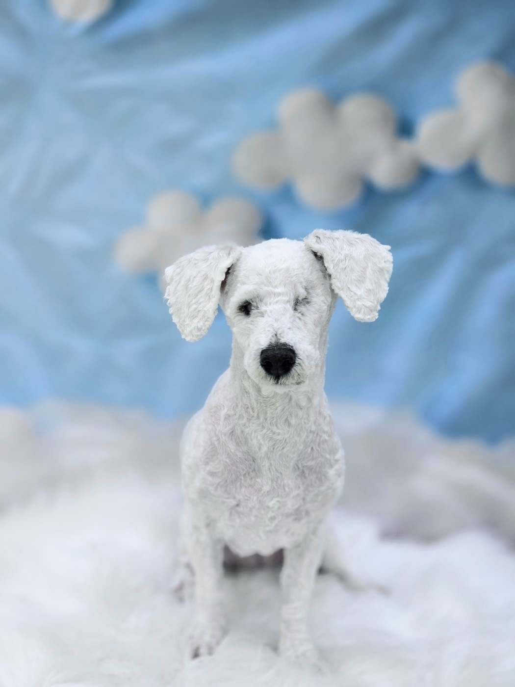 윤랑이 일상(곤지암_쟈스민)