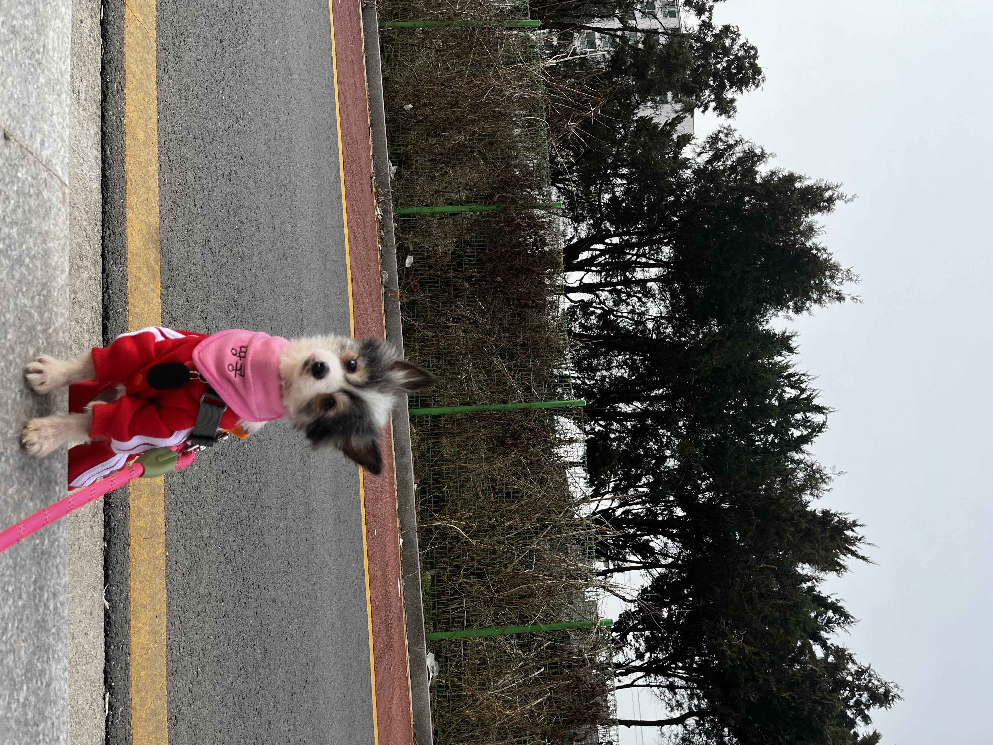 아미가 집에 온지 일주일이 됐어요~)