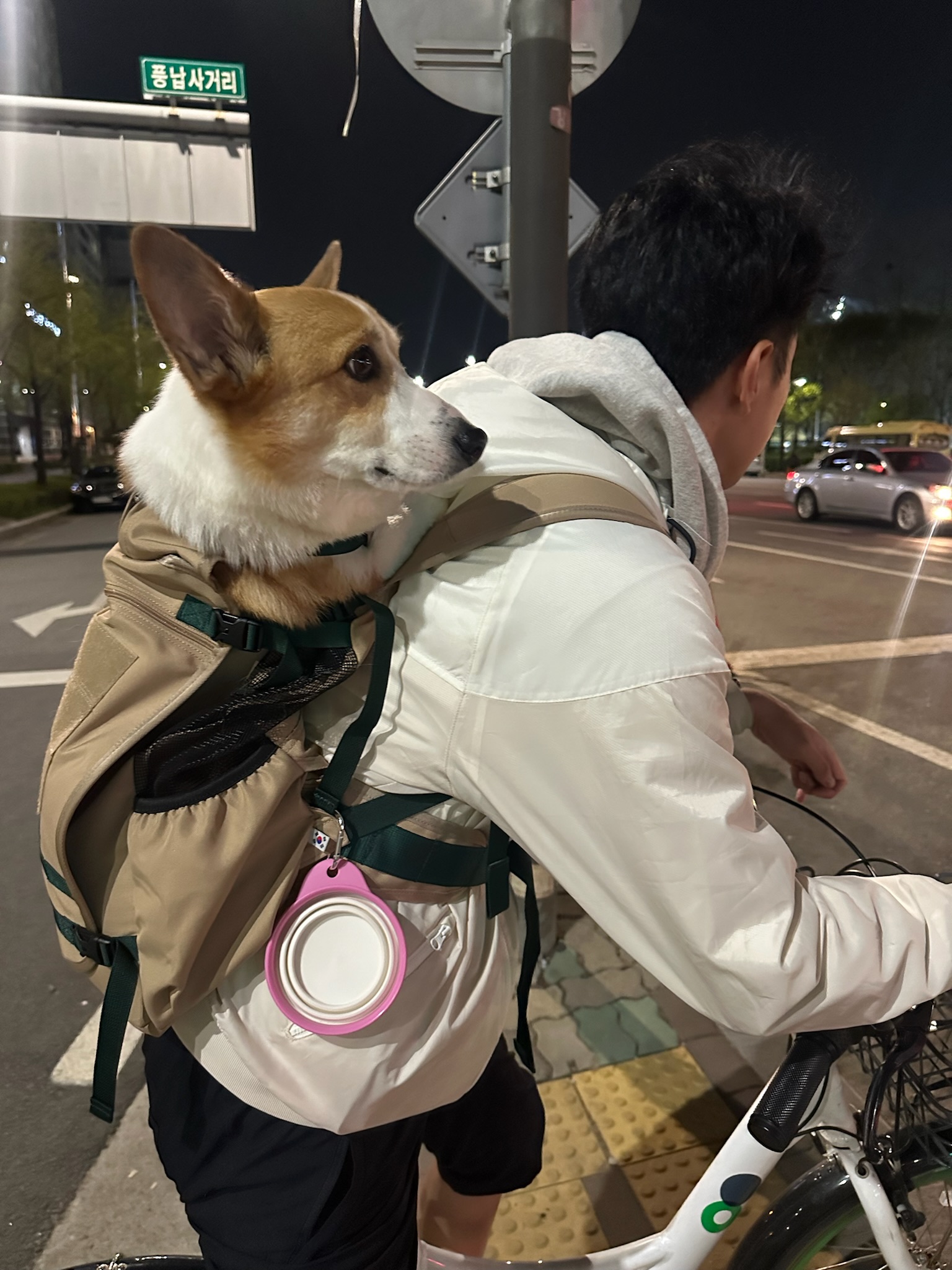 무티 입양 3개월차 후기(구.수코)