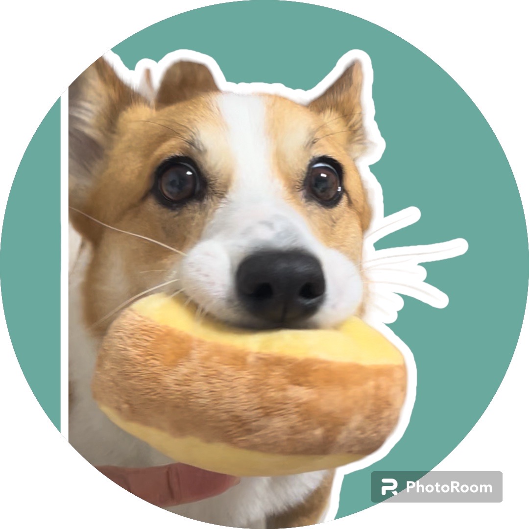 무티 입양 3개월차 후기(구.수코)