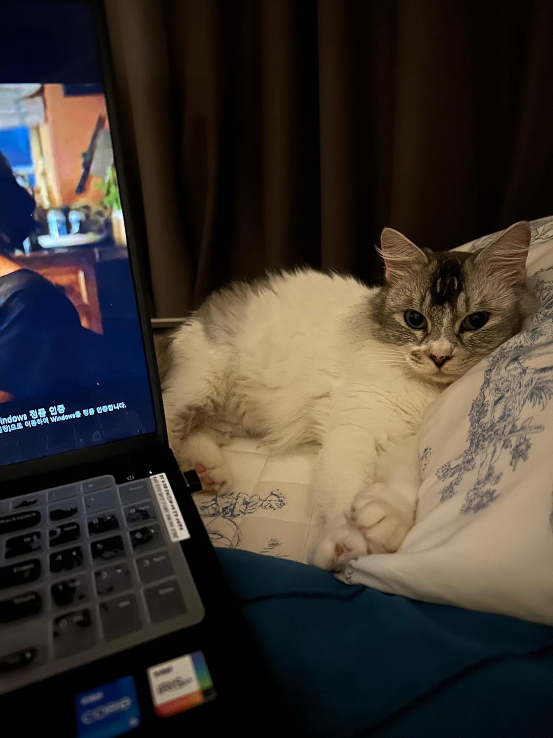 율무의 한 달 적응기(구 수미)