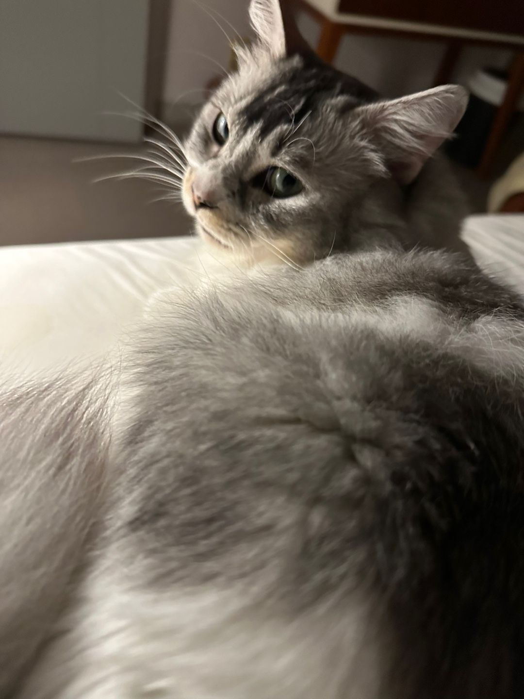 율무의 한 달 적응기(구 수미)