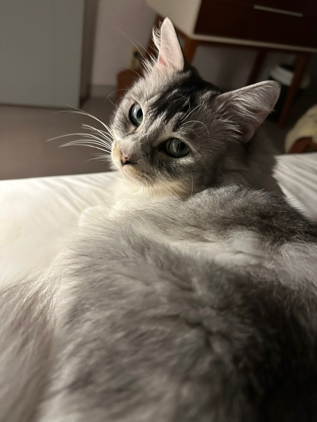 율무의 한 달 적응기(구 수미)