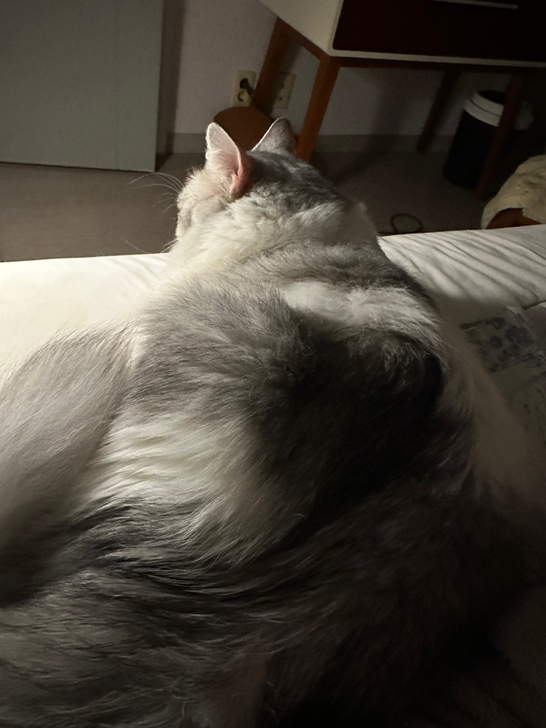 율무의 한 달 적응기(구 수미)