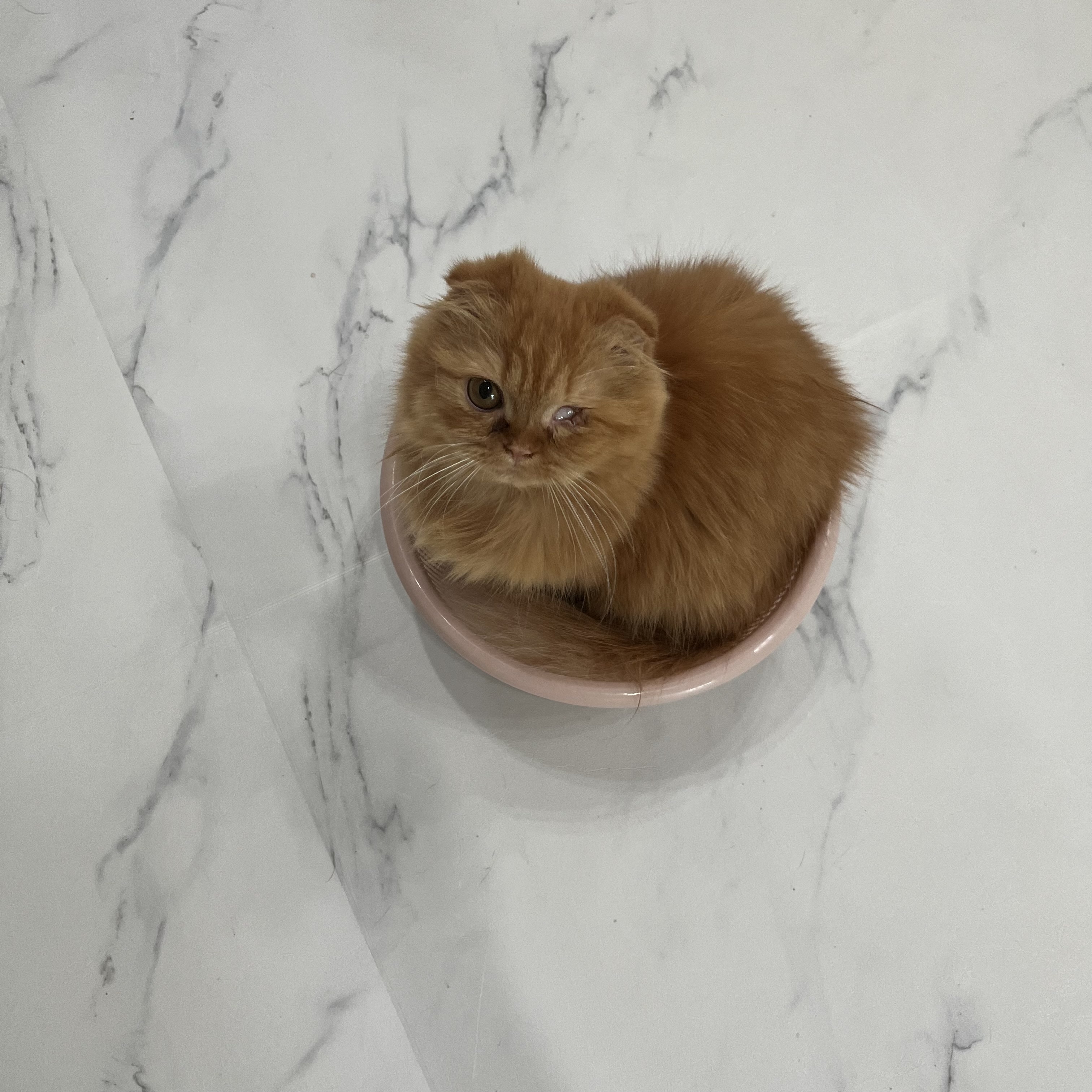 돌고 '도라' 온 만큼 잘 살구같아♡♥♡♥♡♥♡♥-4-