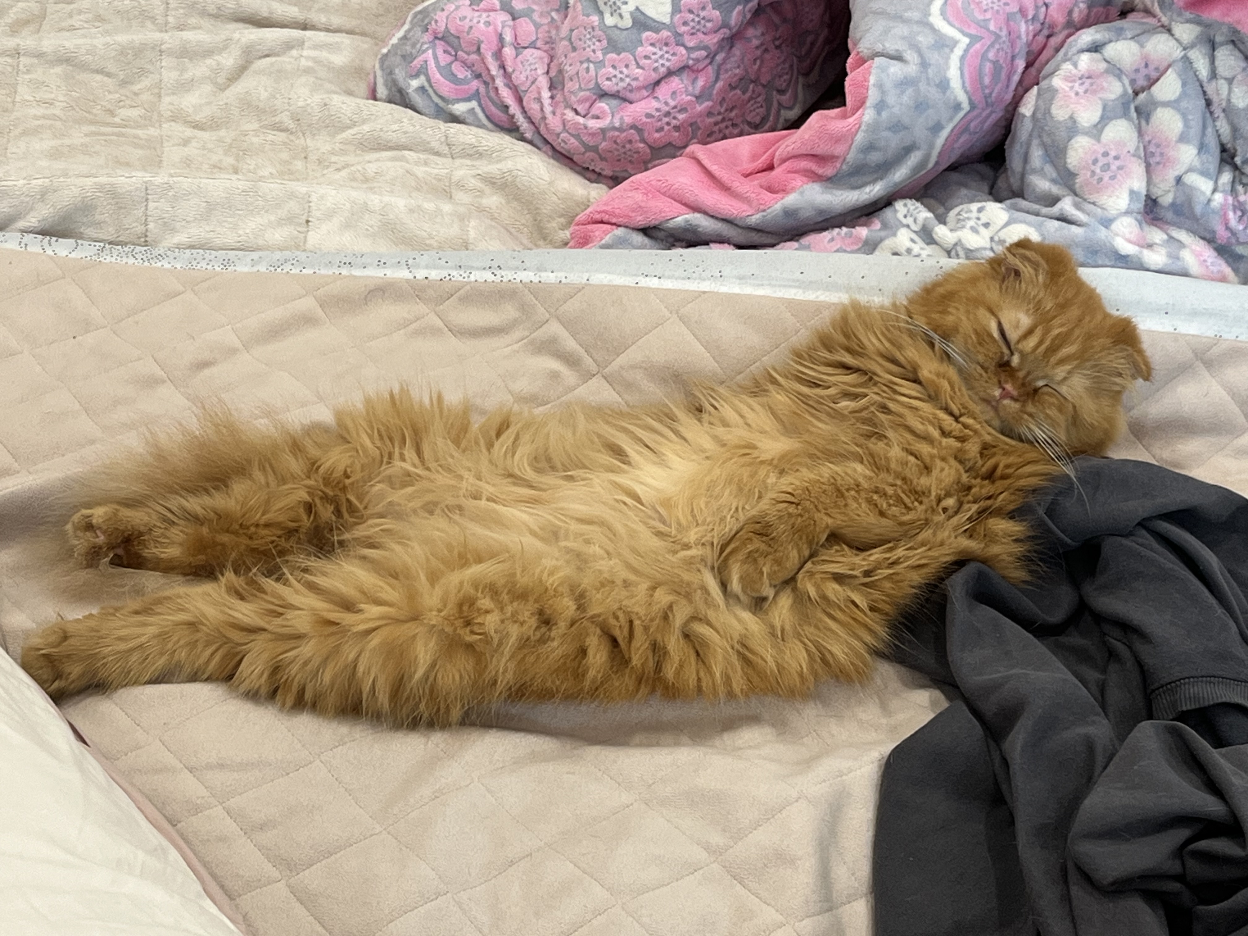 돌고 '도라' 온 만큼 잘 살구같아♡♥♡♥♡♥♡♥-4-