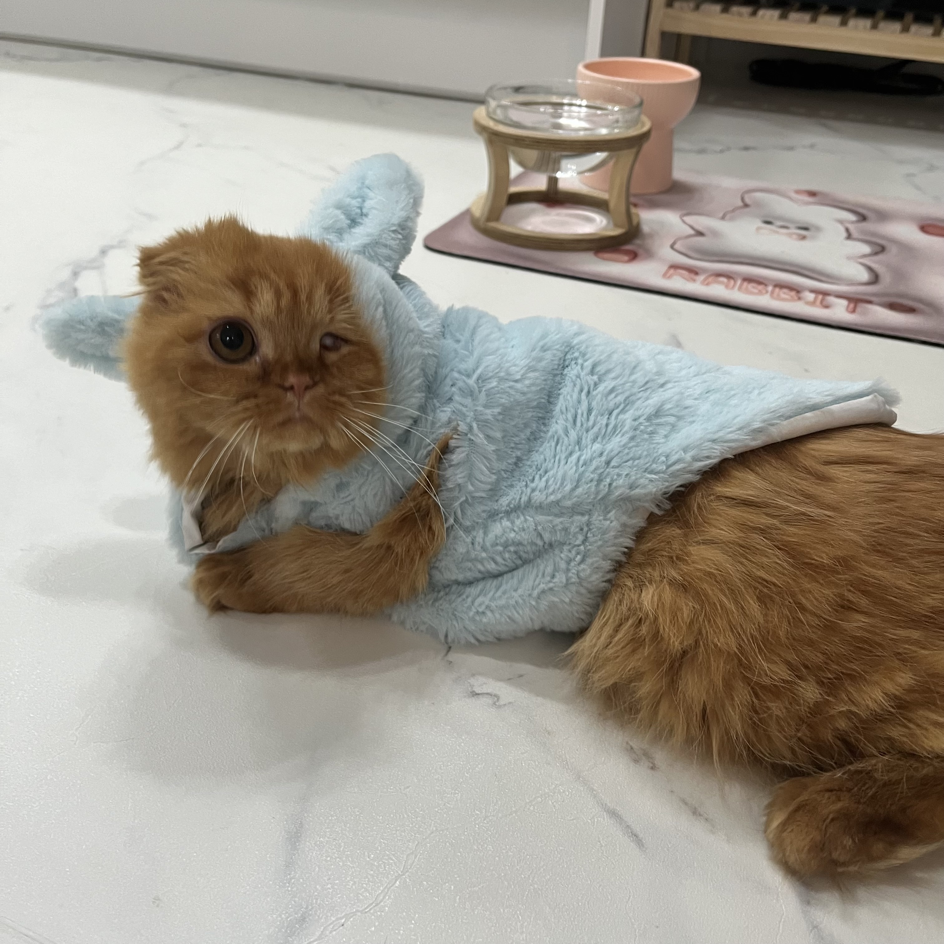 돌고 '도라' 온 만큼 잘 살구같아♡♥♡♥♡♥♡♥-4-