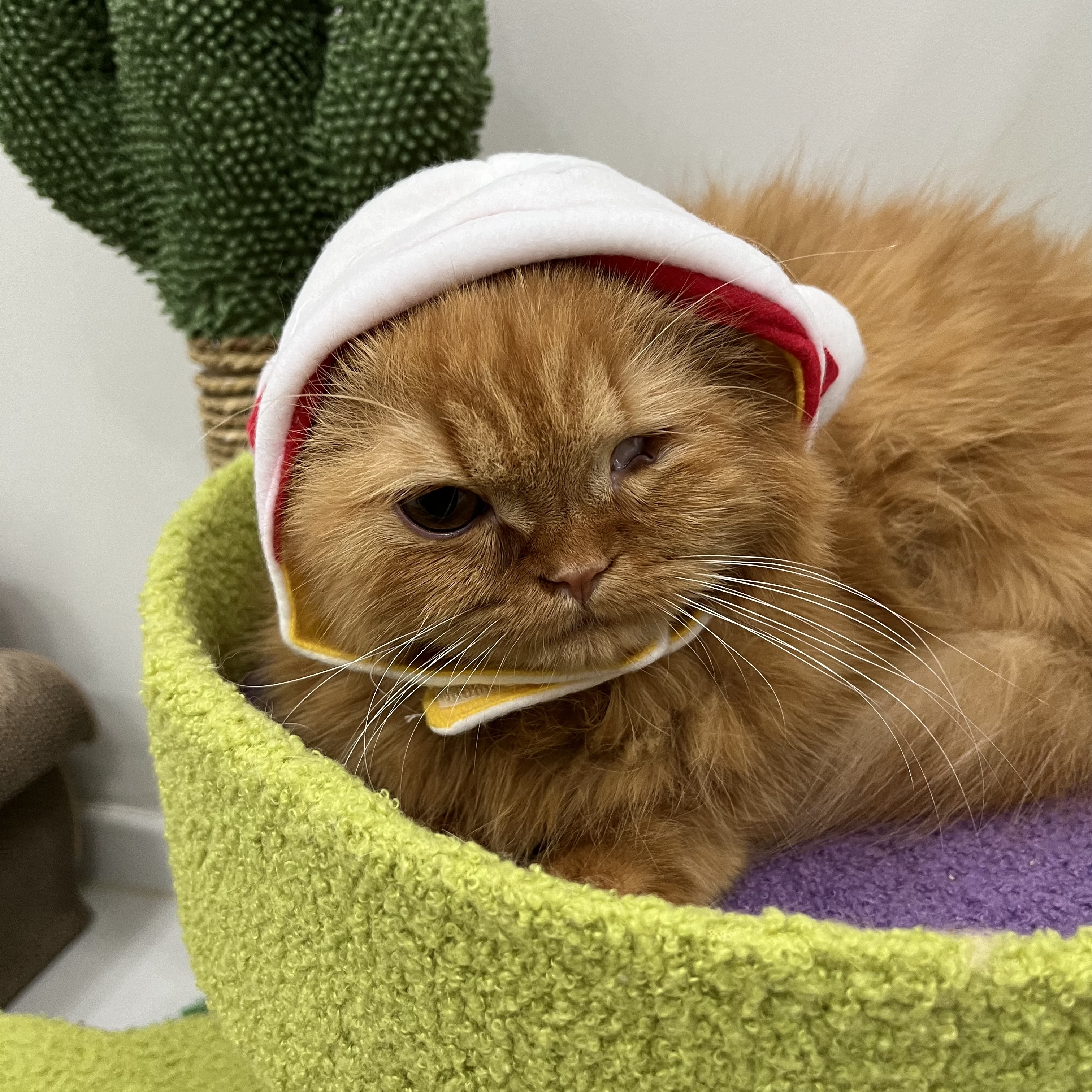 돌고 '도라' 온 만큼 잘 살구같아♡♥♡♥♡♥♡♥-4-