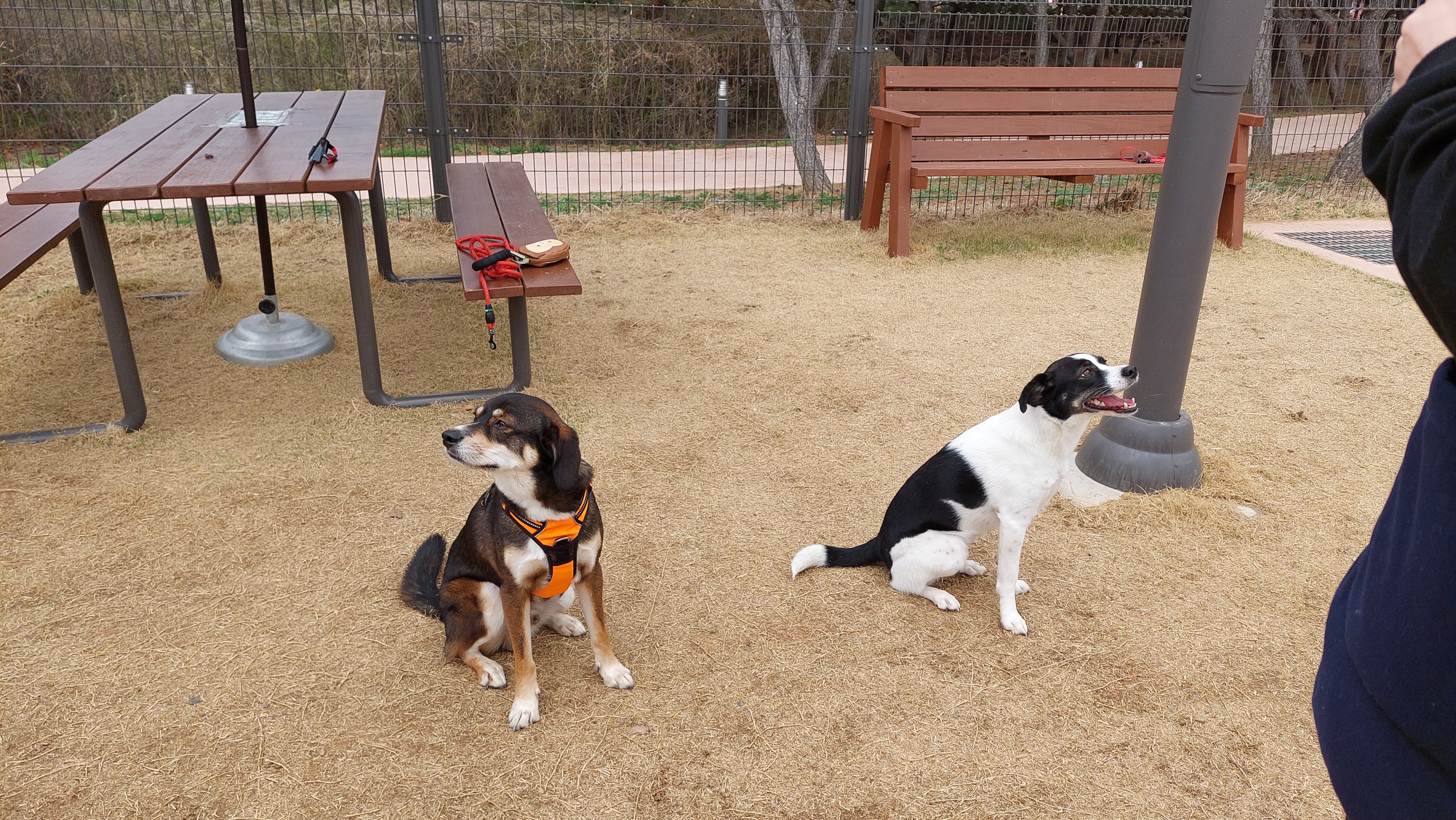 24/03/30 구 멍돌 현 까미가 구 멍순 현 벼루 만난 날