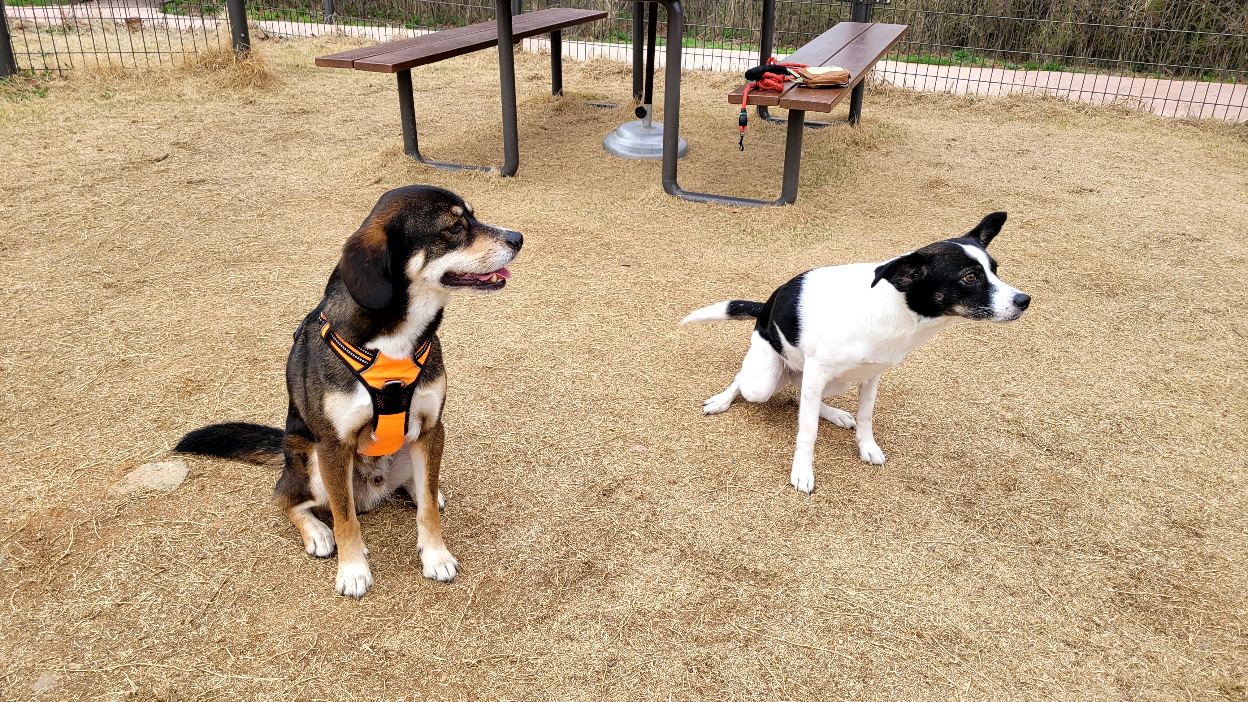 24/03/30 구 멍돌 현 까미가 구 멍순 현 벼루 만난 날