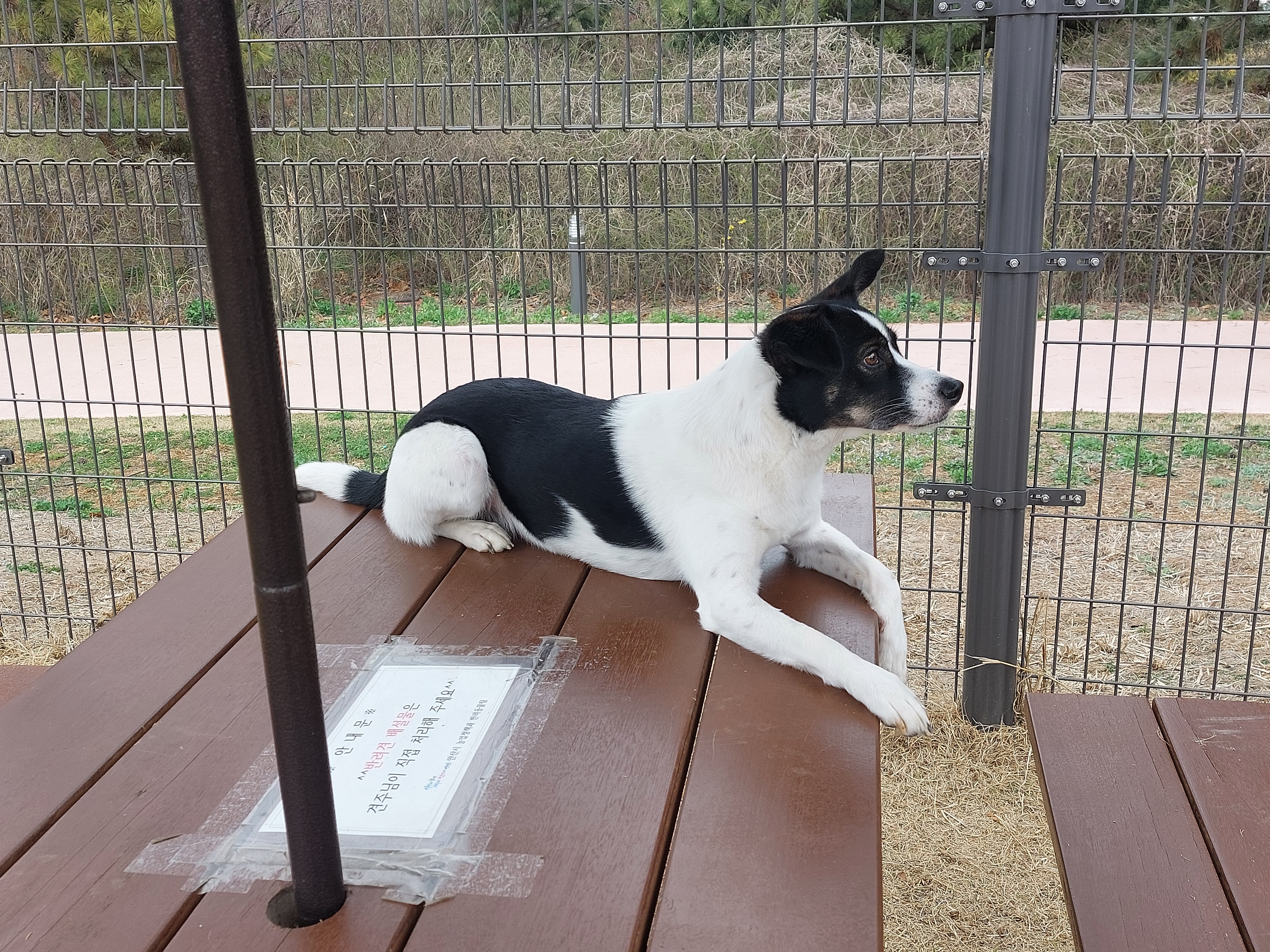 24/03/30 구 멍돌 현 까미가 구 멍순 현 벼루 만난 날