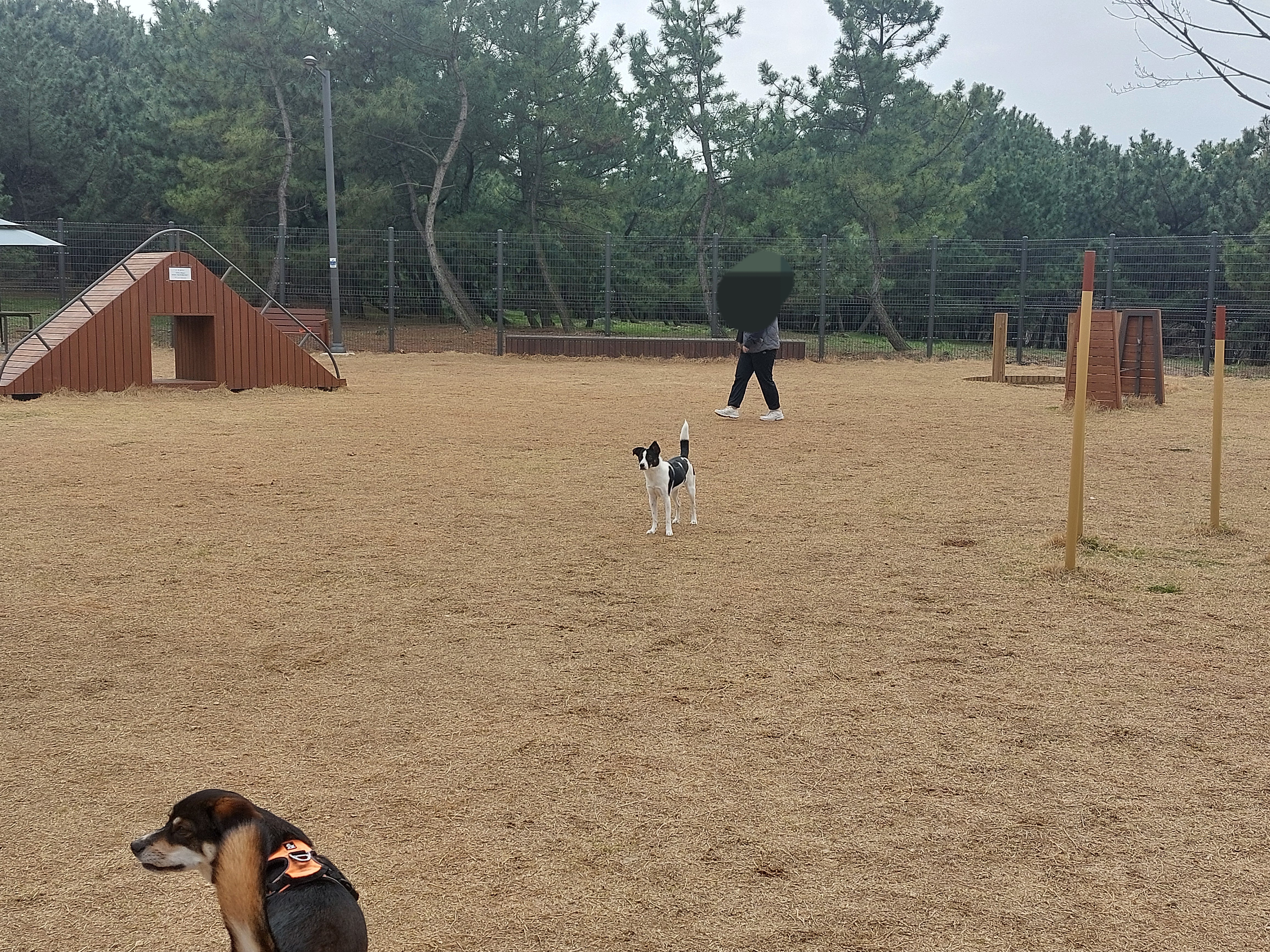 24/03/30 구 멍돌 현 까미가 구 멍순 현 벼루 만난 날