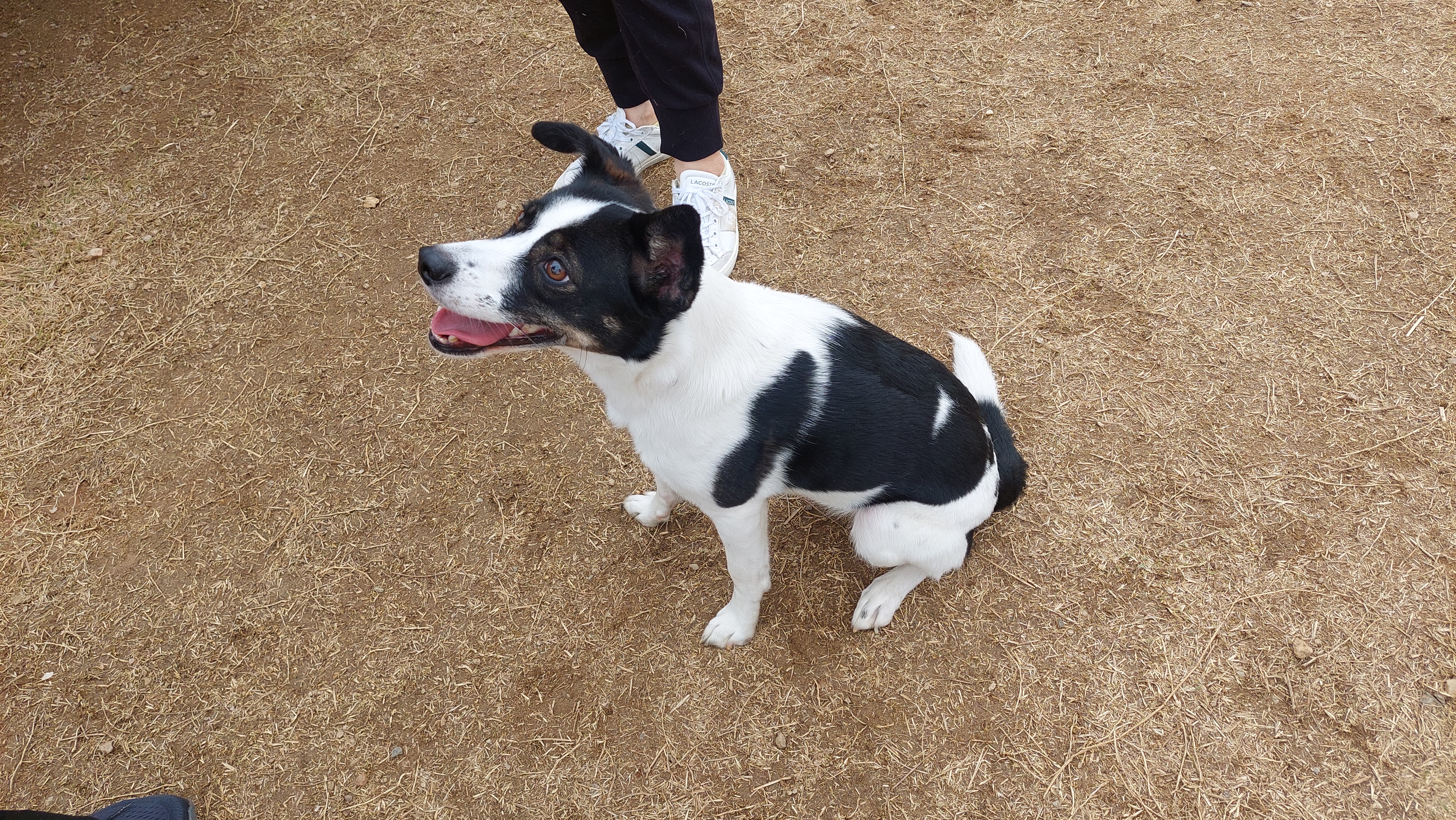 24/03/30 구 멍돌 현 까미가 구 멍순 현 벼루 만난 날