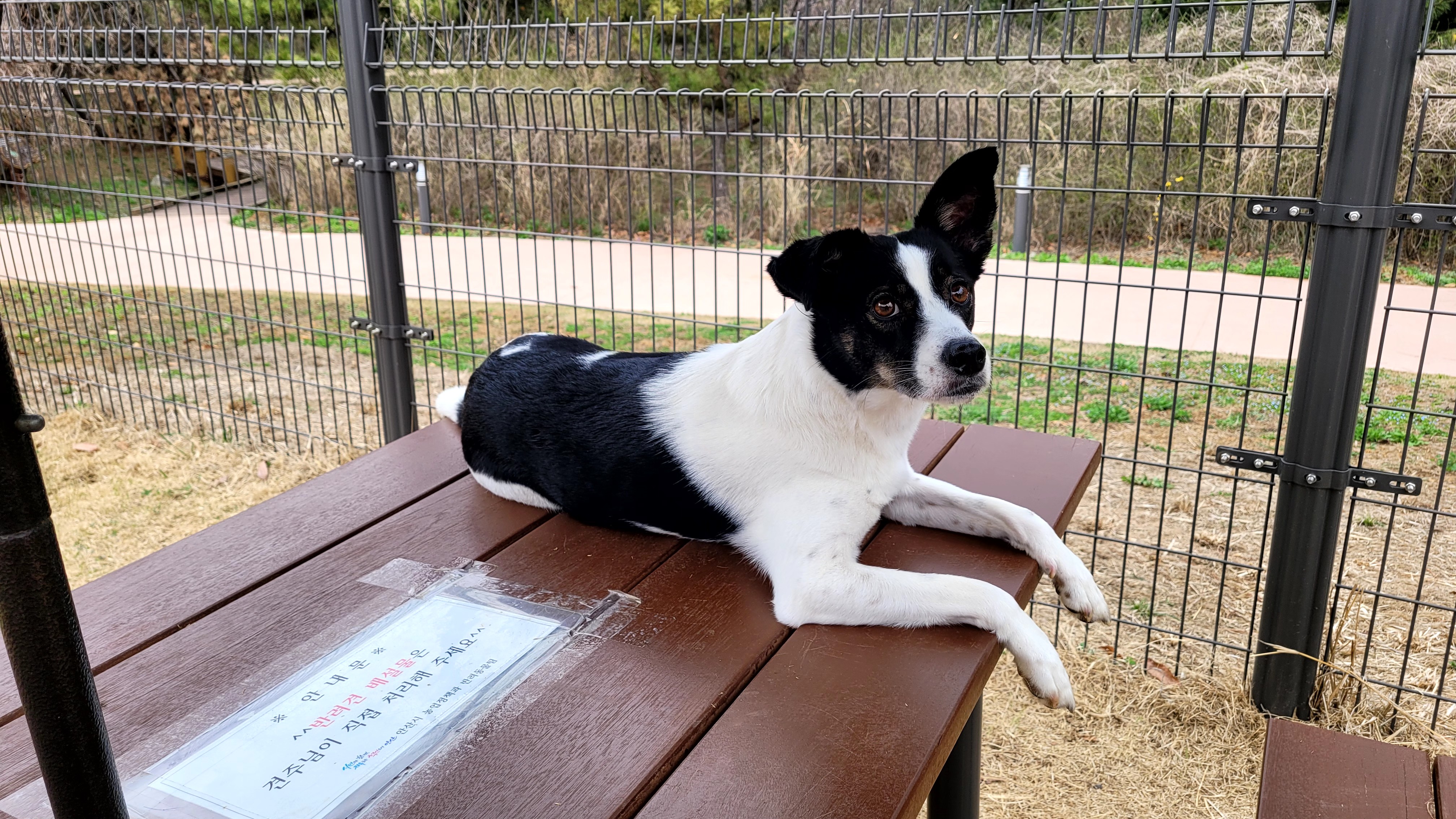 24/03/30 구 멍돌 현 까미가 구 멍순 현 벼루 만난 날