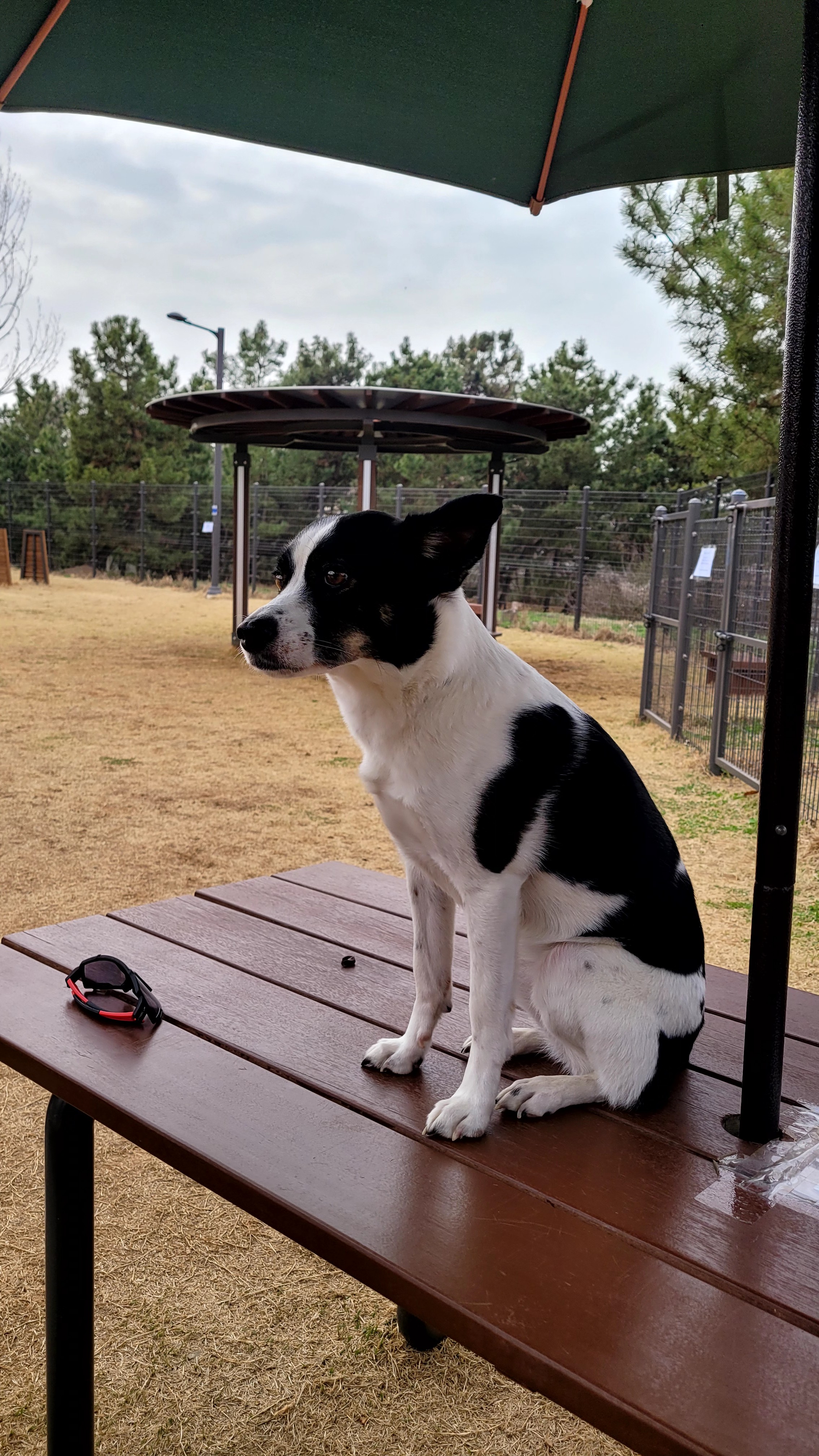 24/03/30 구 멍돌 현 까미가 구 멍순 현 벼루 만난 날