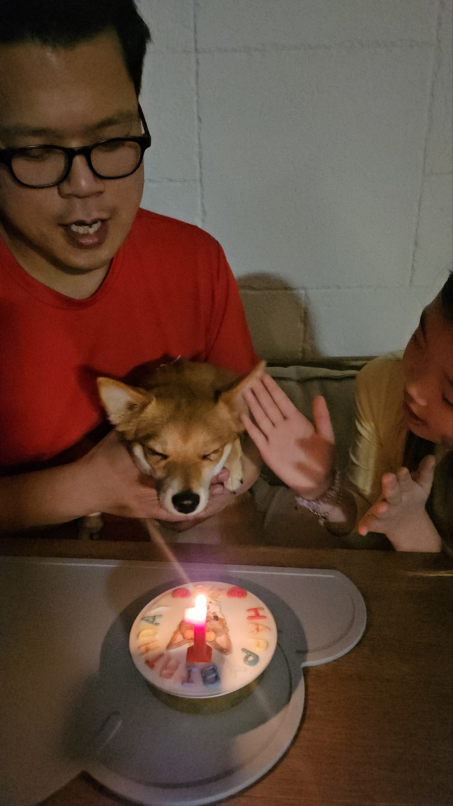 사탕이(수수)의 1년, 그리고 샛별이의 1주