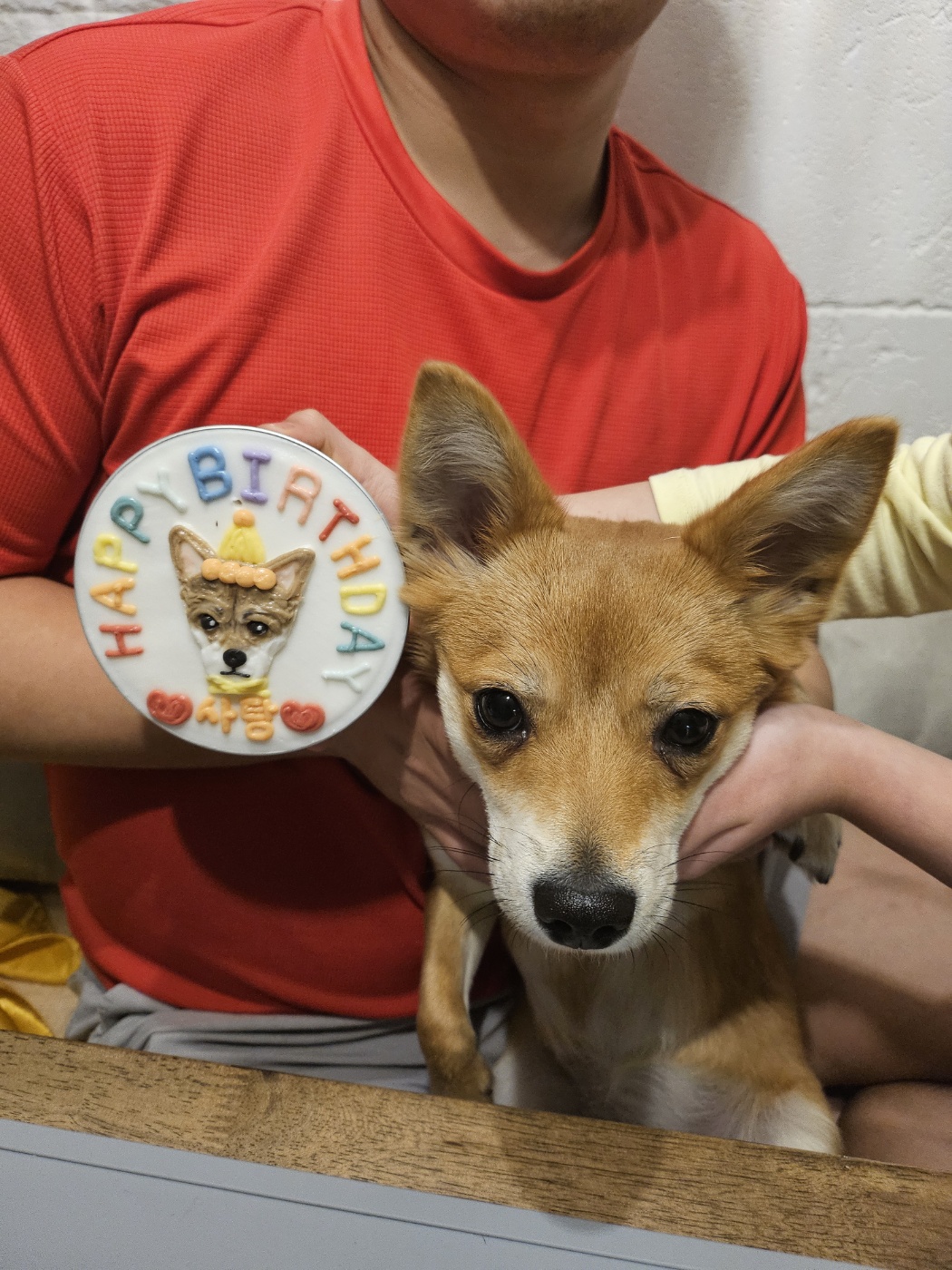 사탕이(수수)의 1년, 그리고 샛별이의 1주