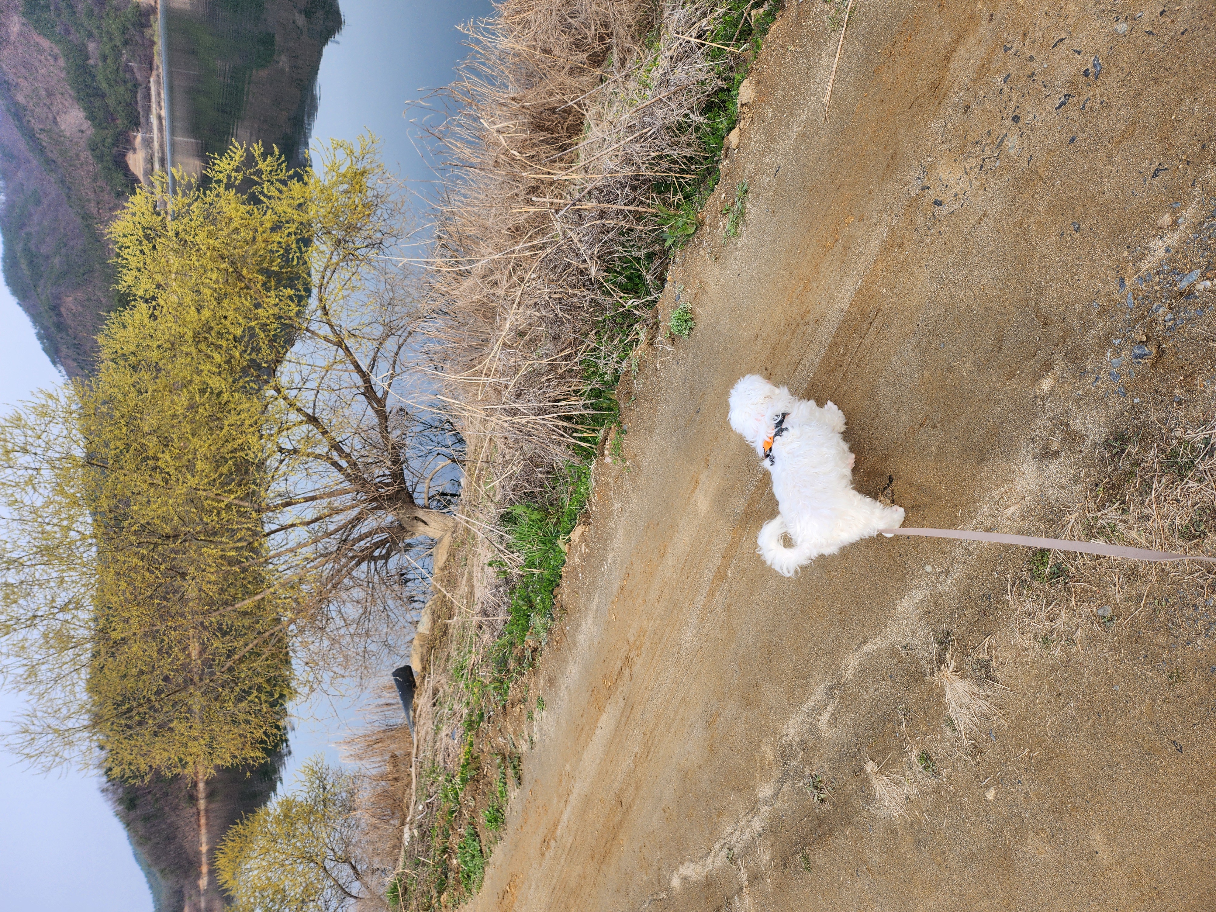 뽀또(하즈) 한달 일상🩷