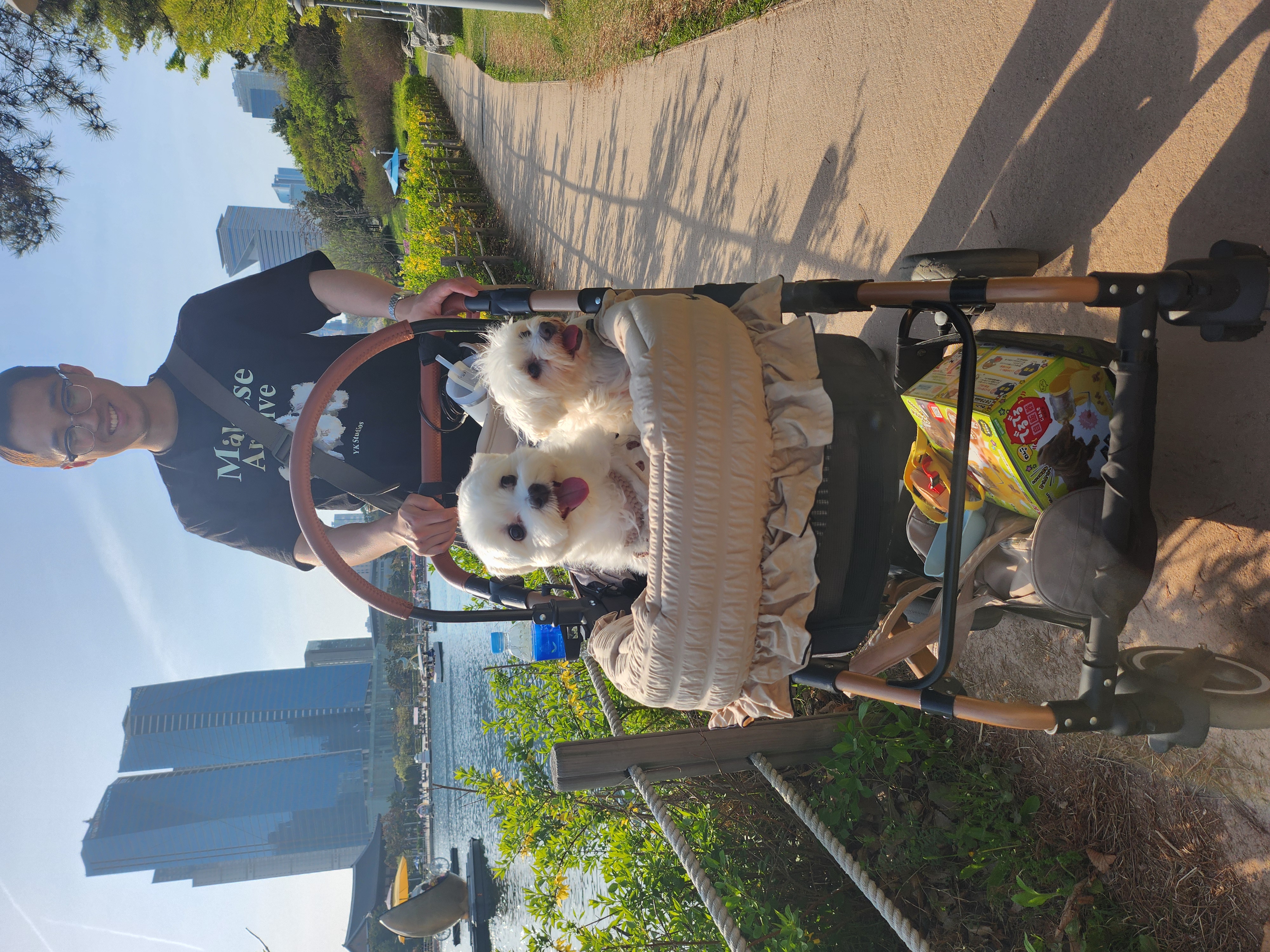 뽀또(하즈) 한달 일상🩷