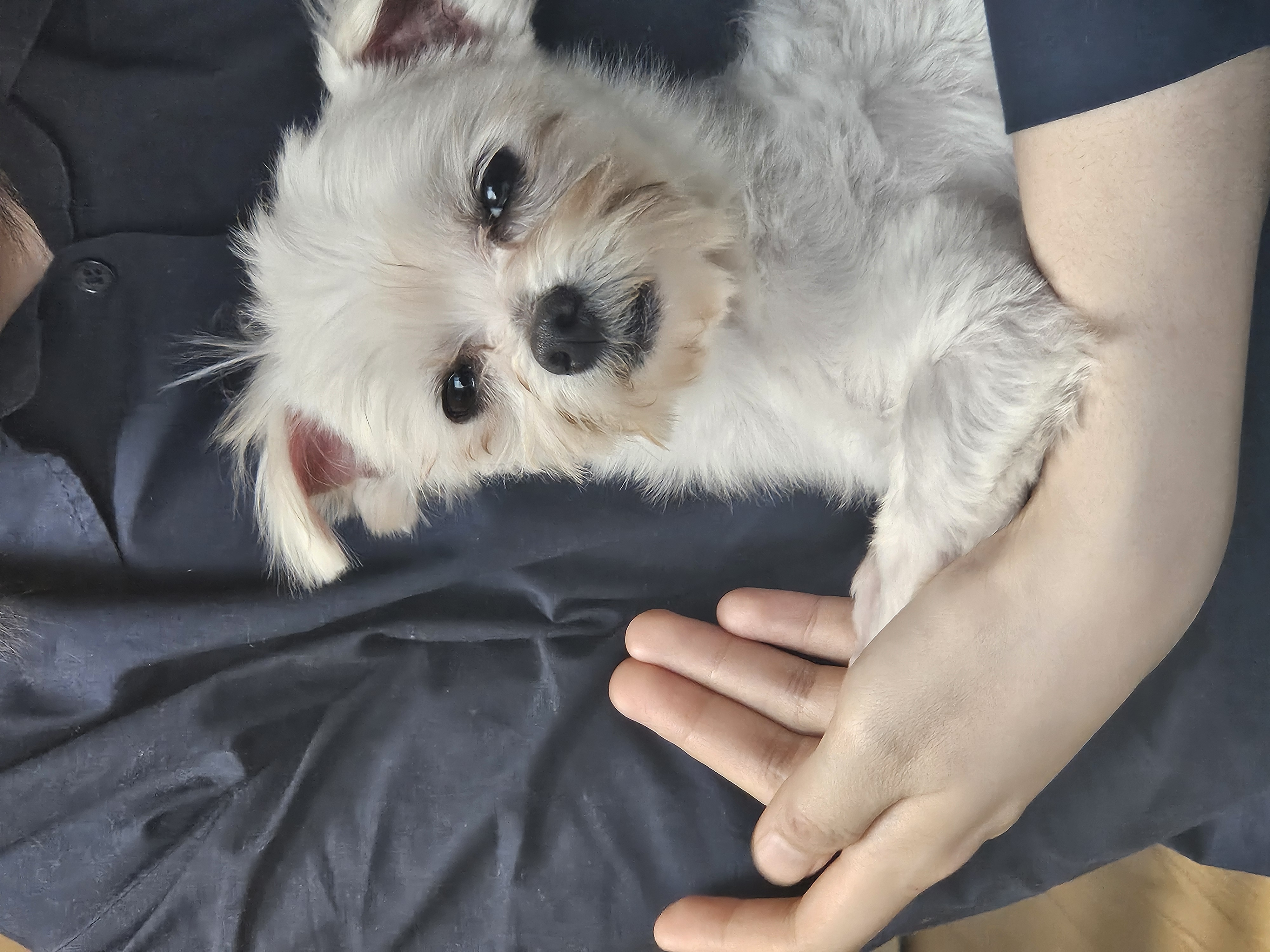 연두 (전 이름 다미) 의 일주일 후기입니다!!