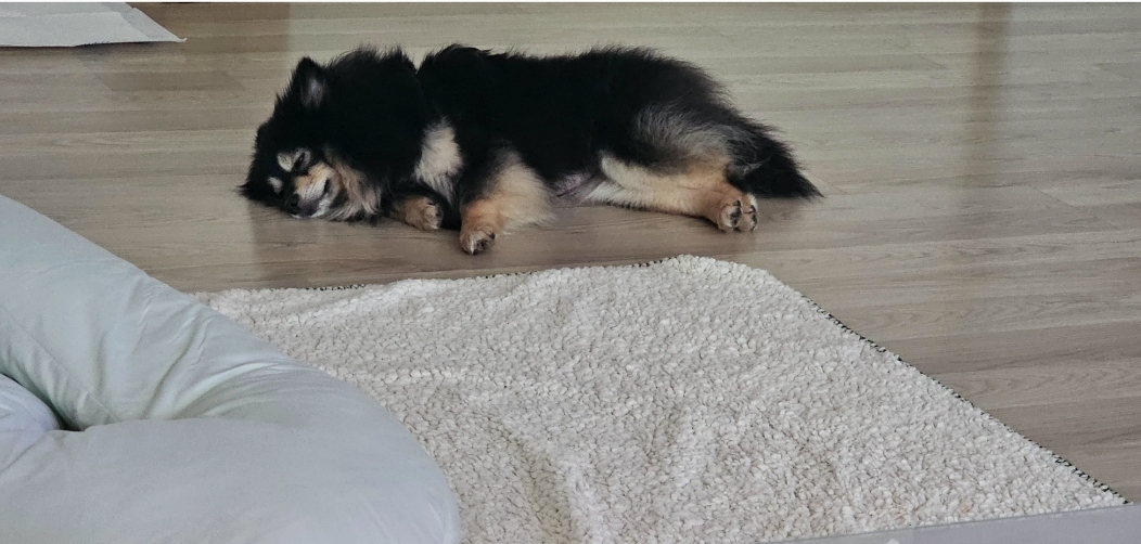 하초와의 일주일 