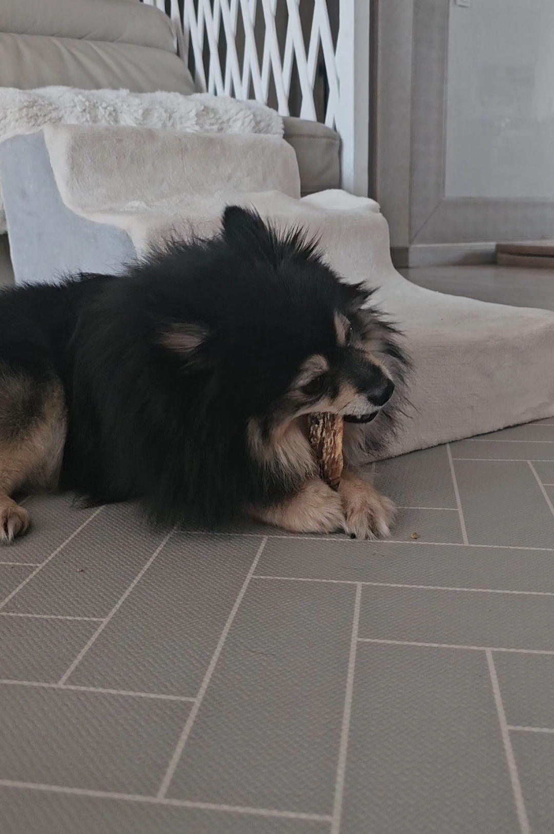 하초와의 일주일 