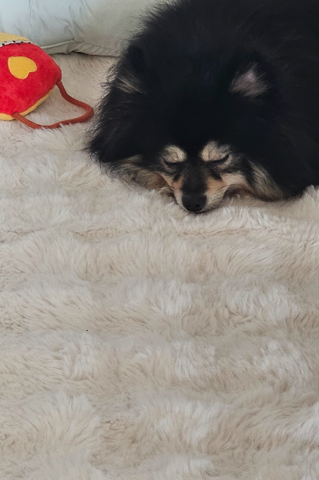 하초와의 일주일 