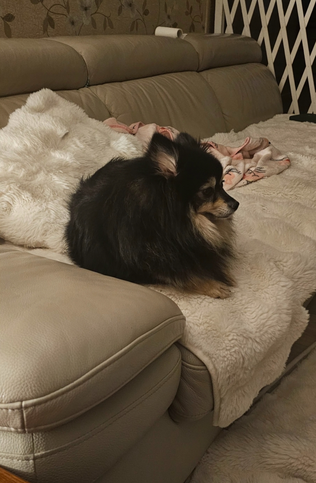 하초와의 일주일 