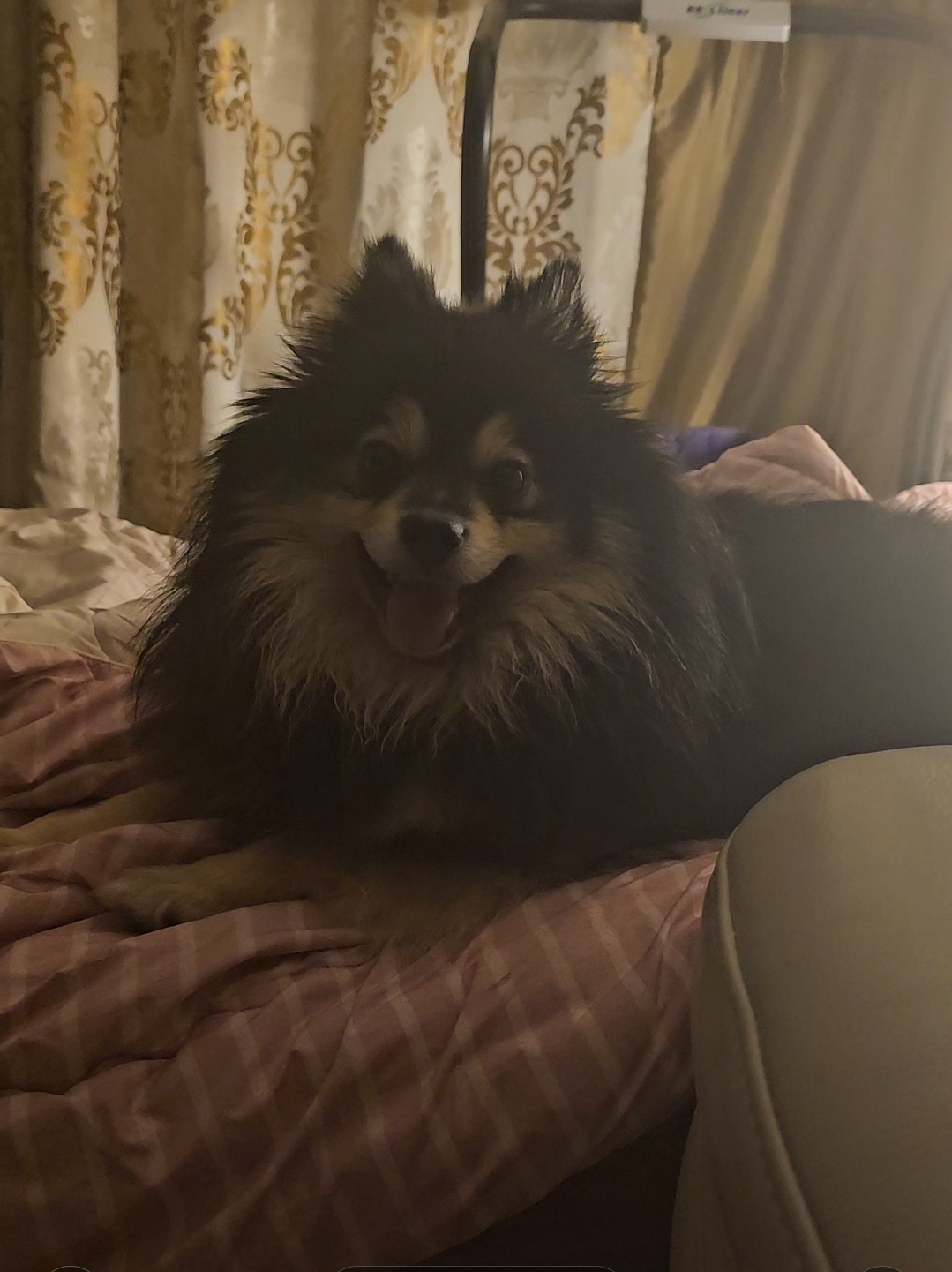 하초와의 일주일 