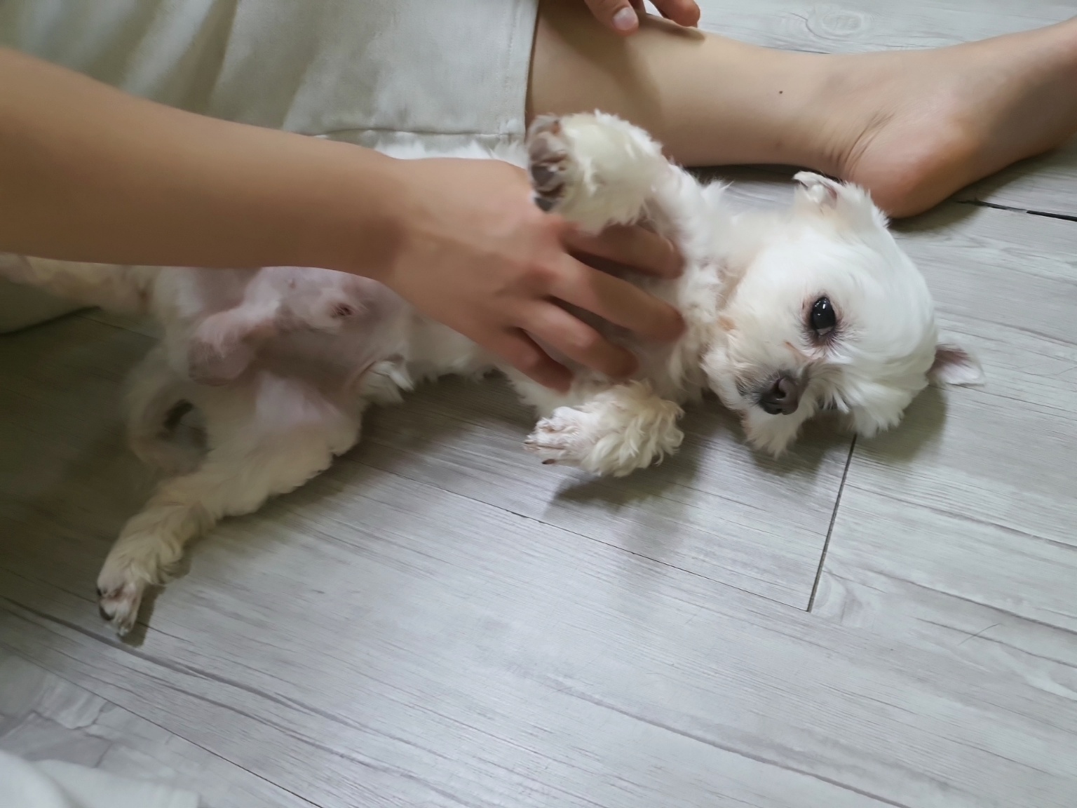 더덕이와의 일주일^^