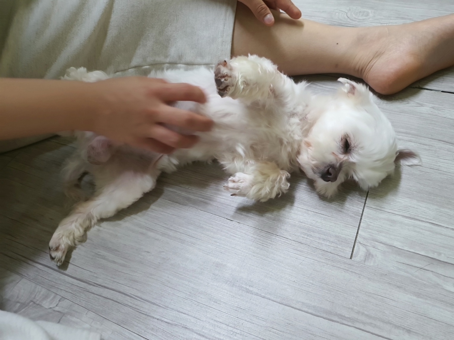 더덕이와의 일주일^^