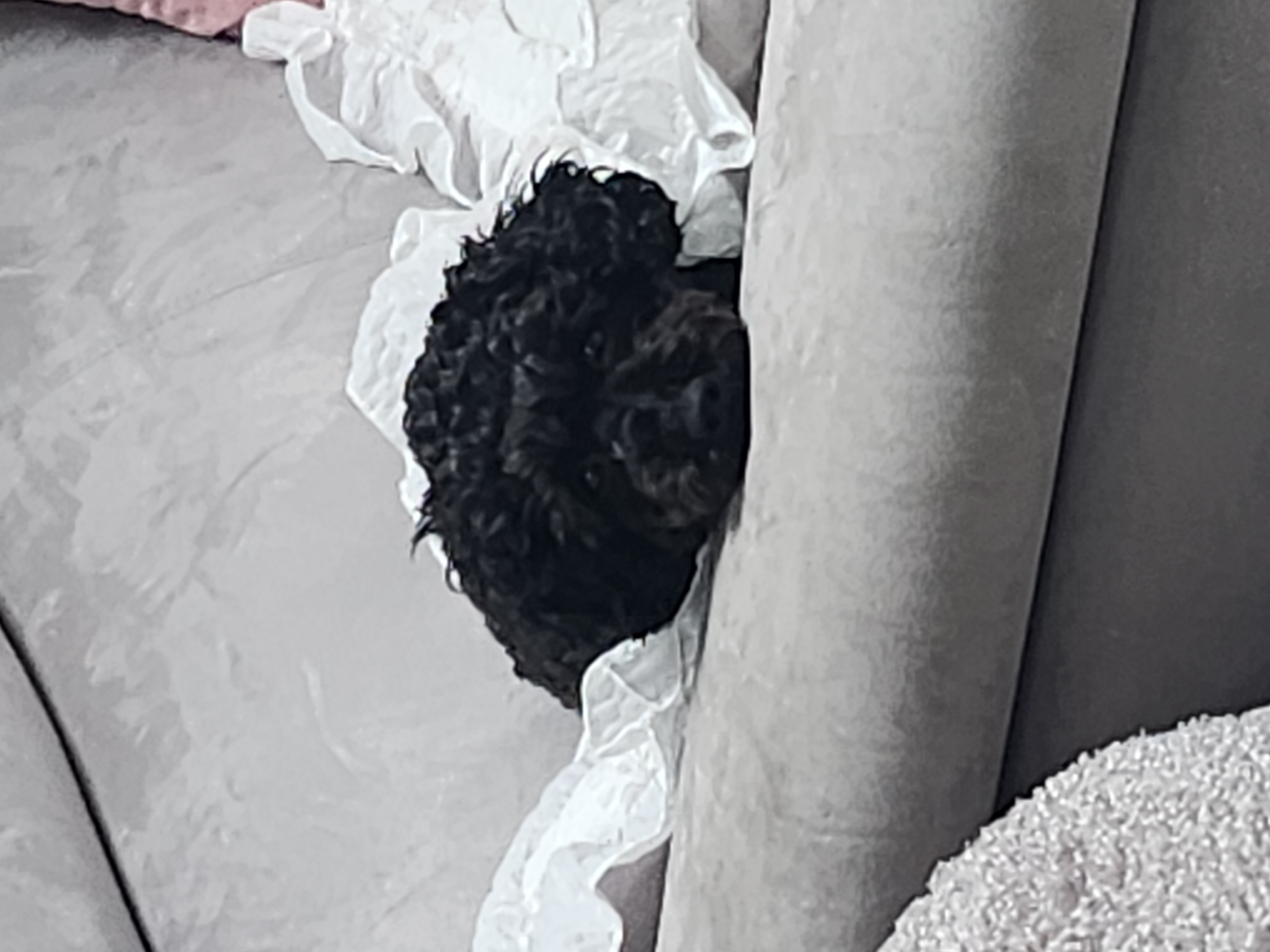 예쁜애기 까푸.  .