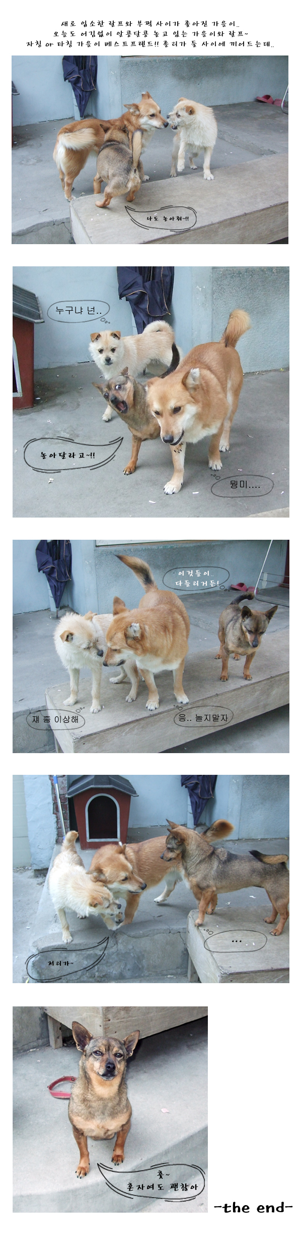 안녕하세요? 방금 졸리가 하늘나라로 갔어요.