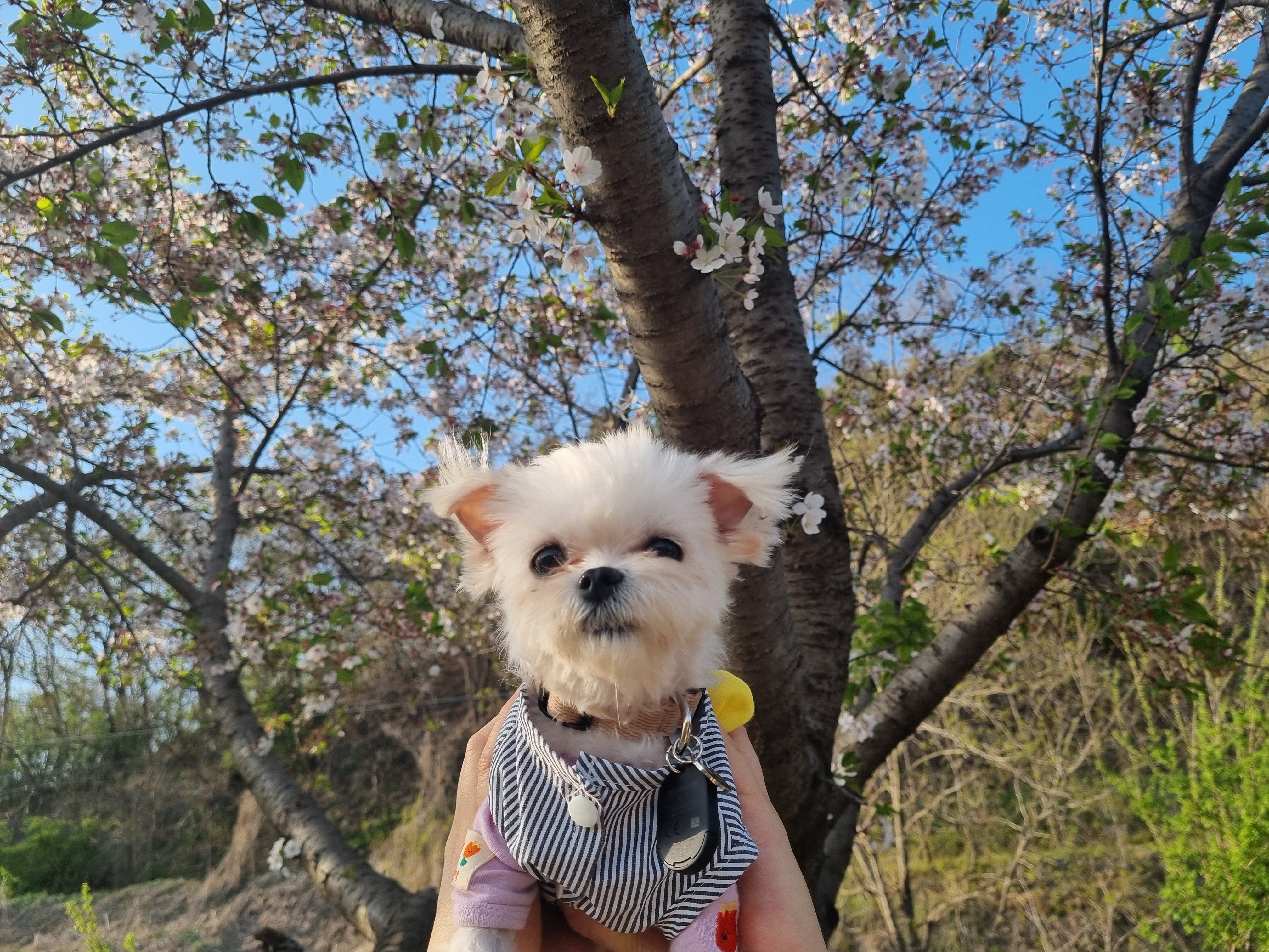 [임보] 마리와의 행복한 일주일❣️