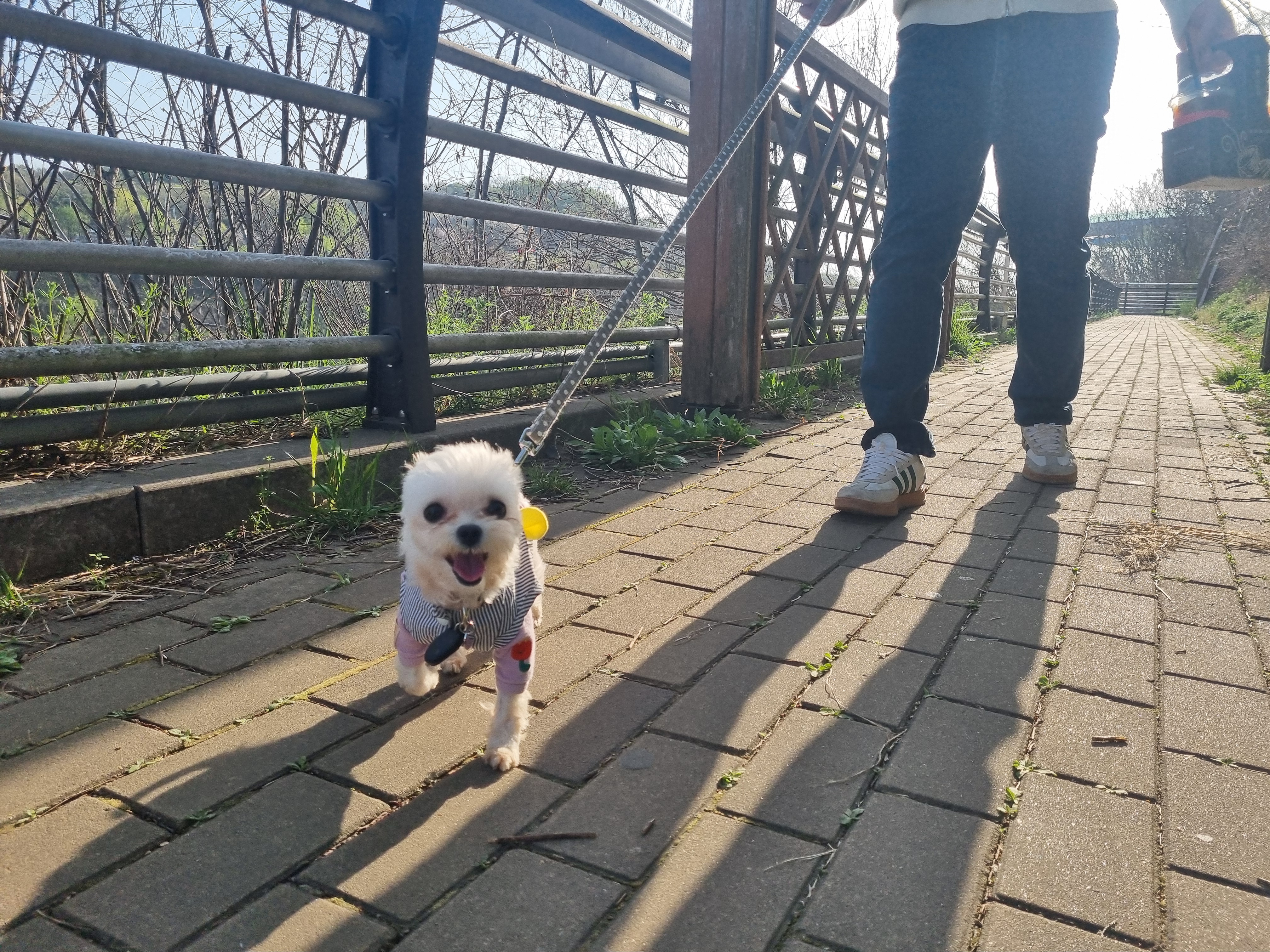 [임보] 마리와의 행복한 일주일❣️